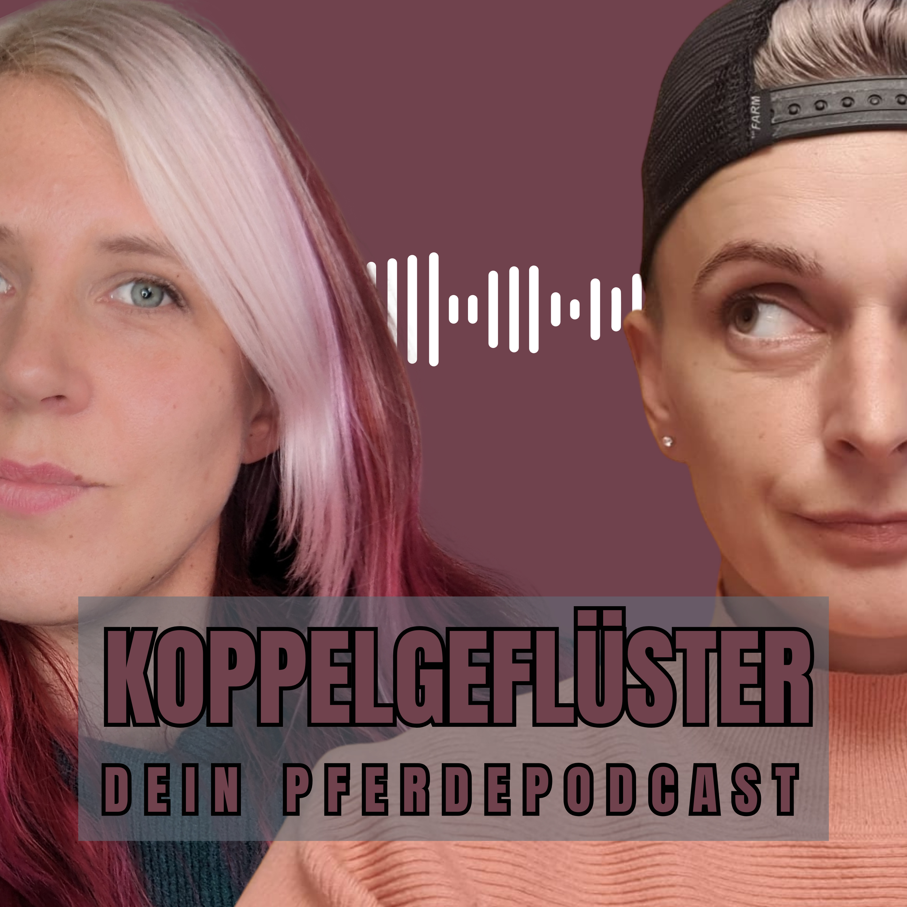 #1 von Pferdeprofis und Deckenwahn episode artwork