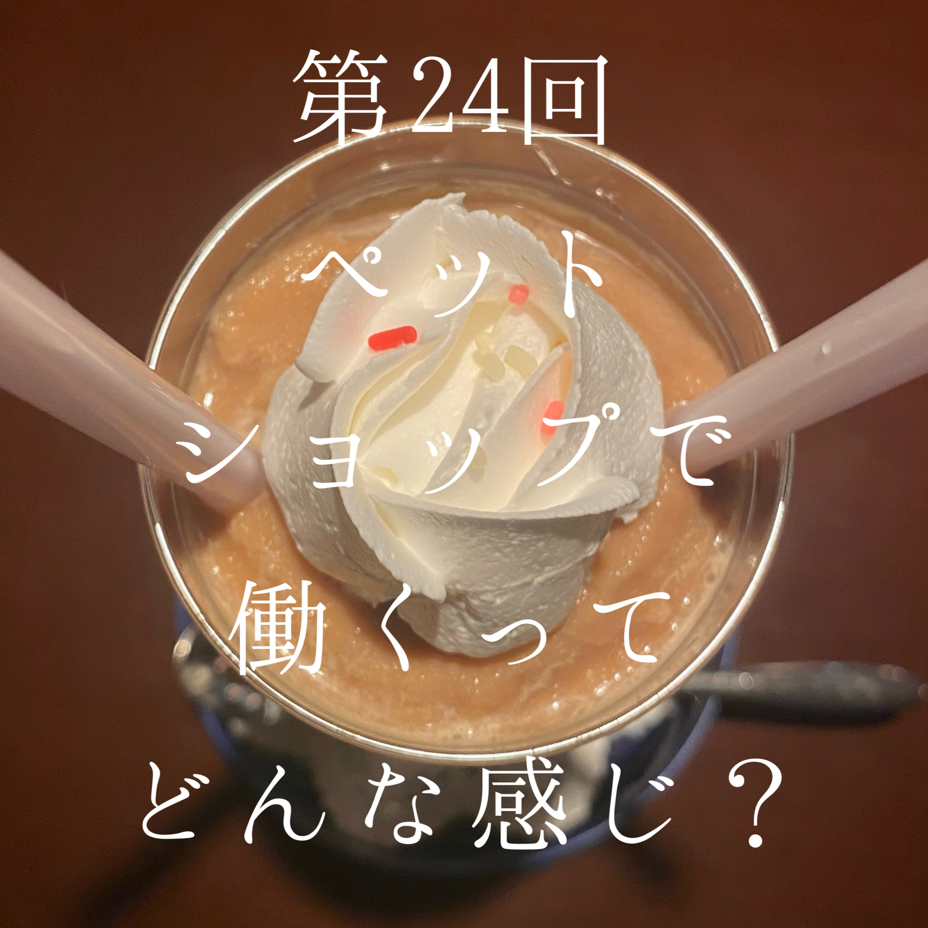 24_ペットショップで働き始めたら1日で猫派になった(が…) episode artwork