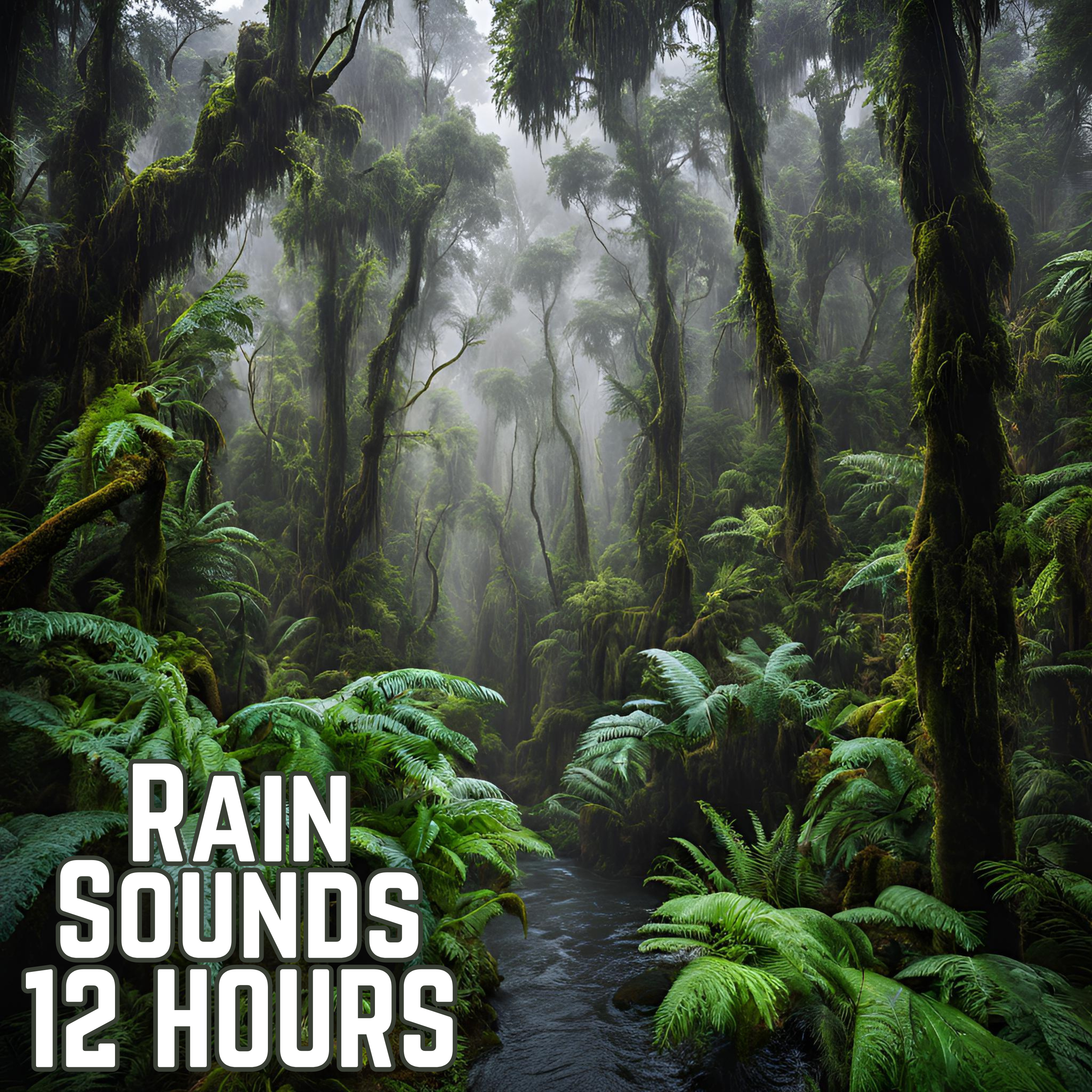 12 Hours of Soothing Rain Sounds: Ultimate Sleep Aid & Relaxation | Black Screen episode artwork