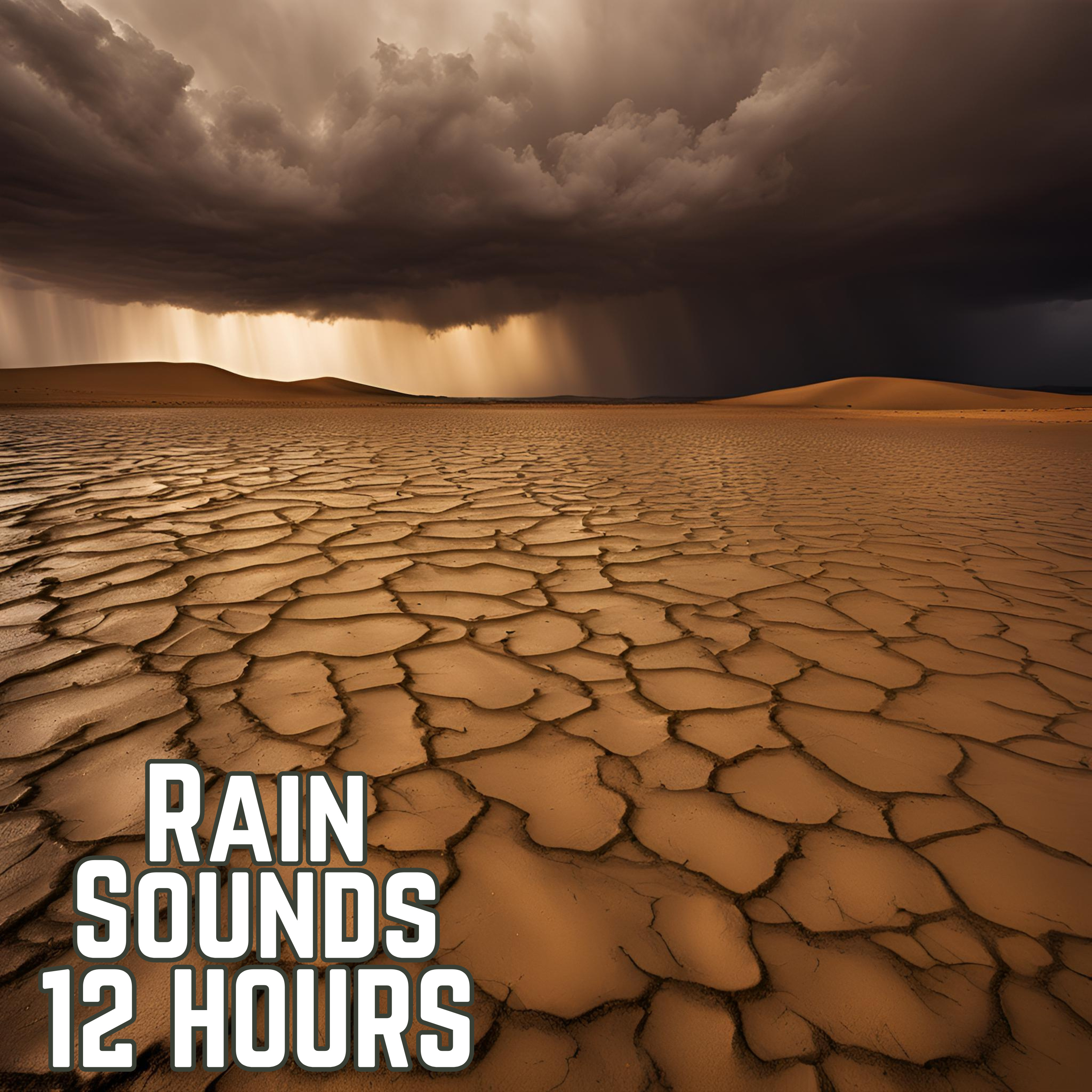  12-Hour Relaxation: Soothing Rain Sounds & Crickets for Deep Sleep | Black Screen Sleep Aid episode artwork