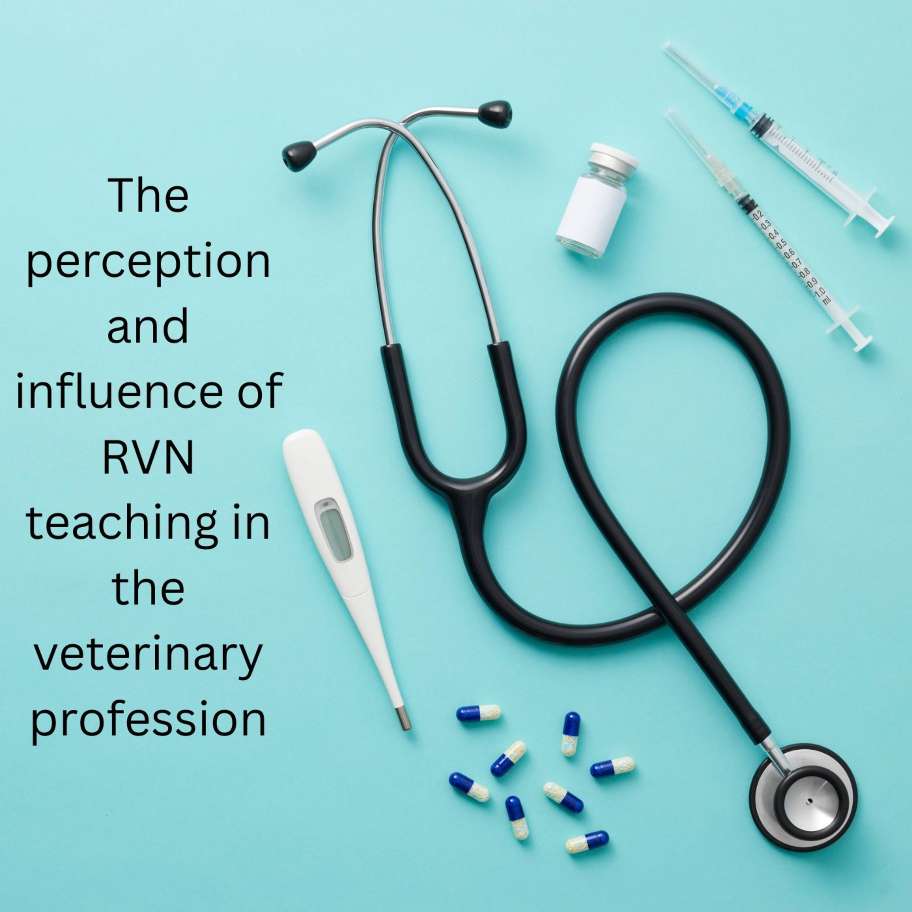 An interns perspective