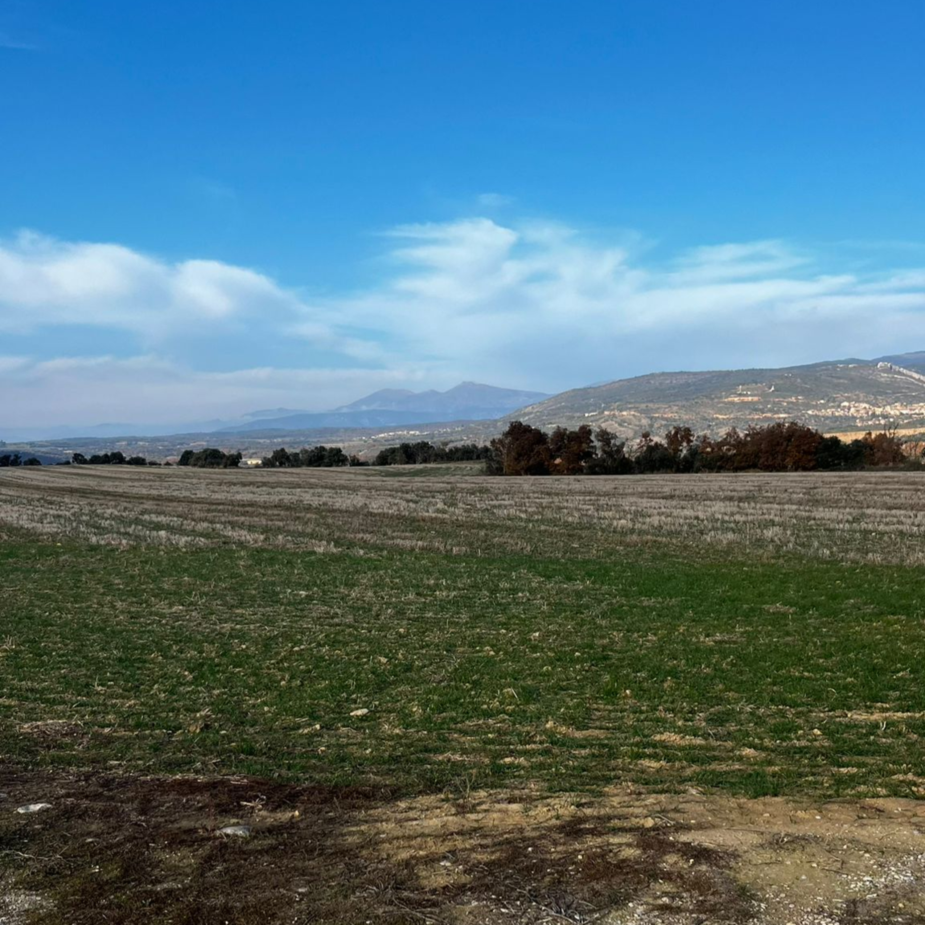 TresCifrasEnLaMontana