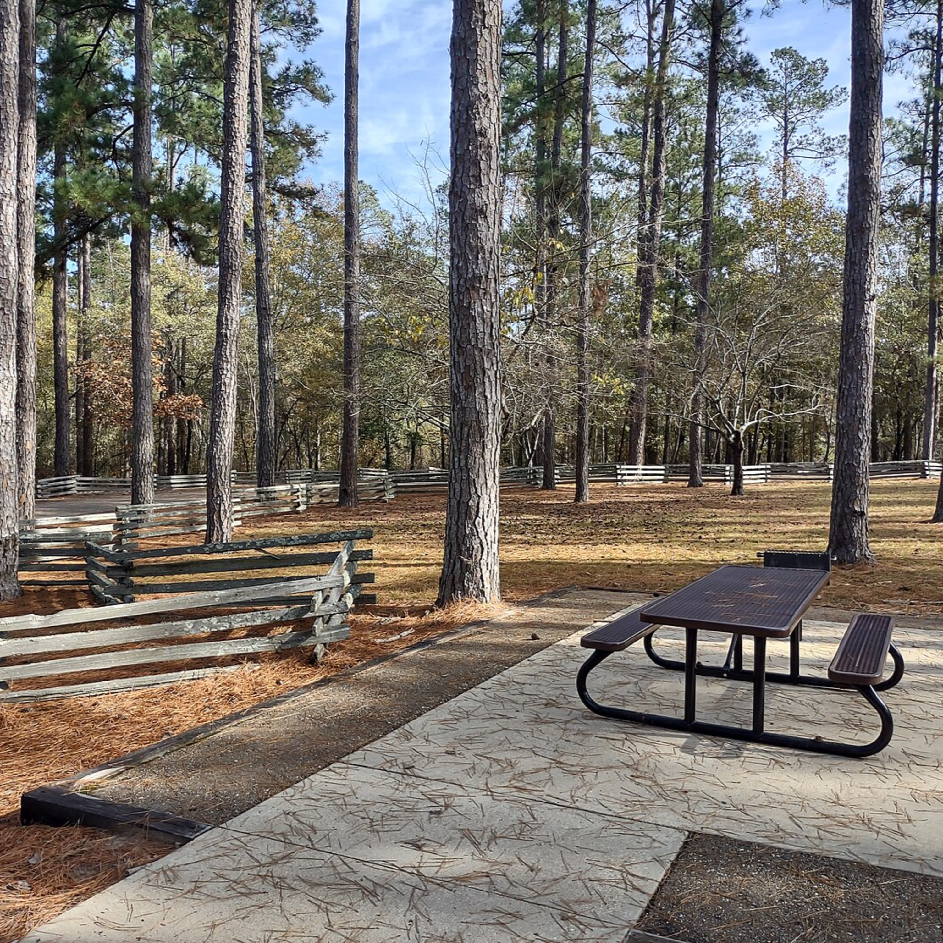 Poison Spring: An Arkansas Massacre