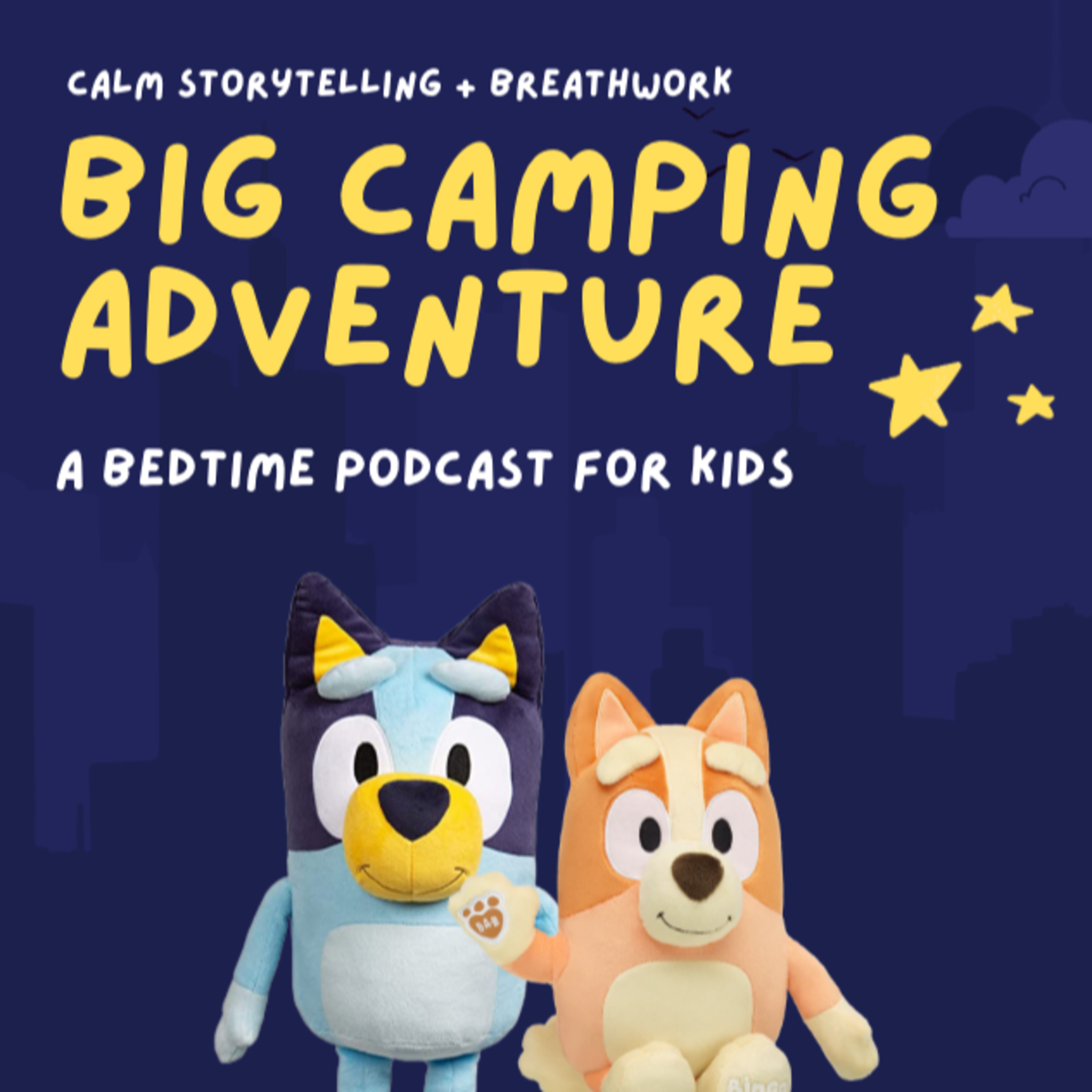 Bluey: Big Camping Adventure