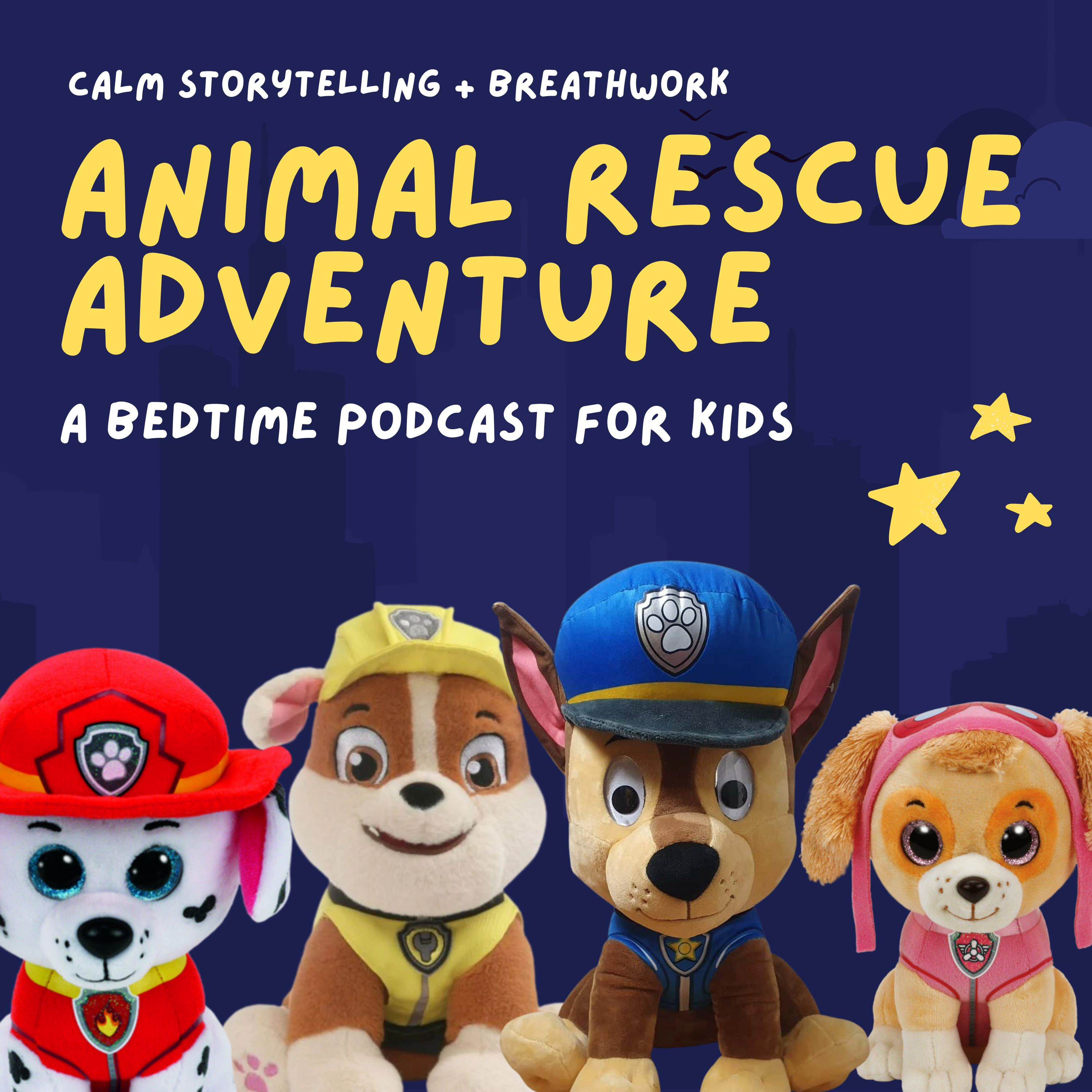 Paw Patrol: Animal Rescue Adventure
