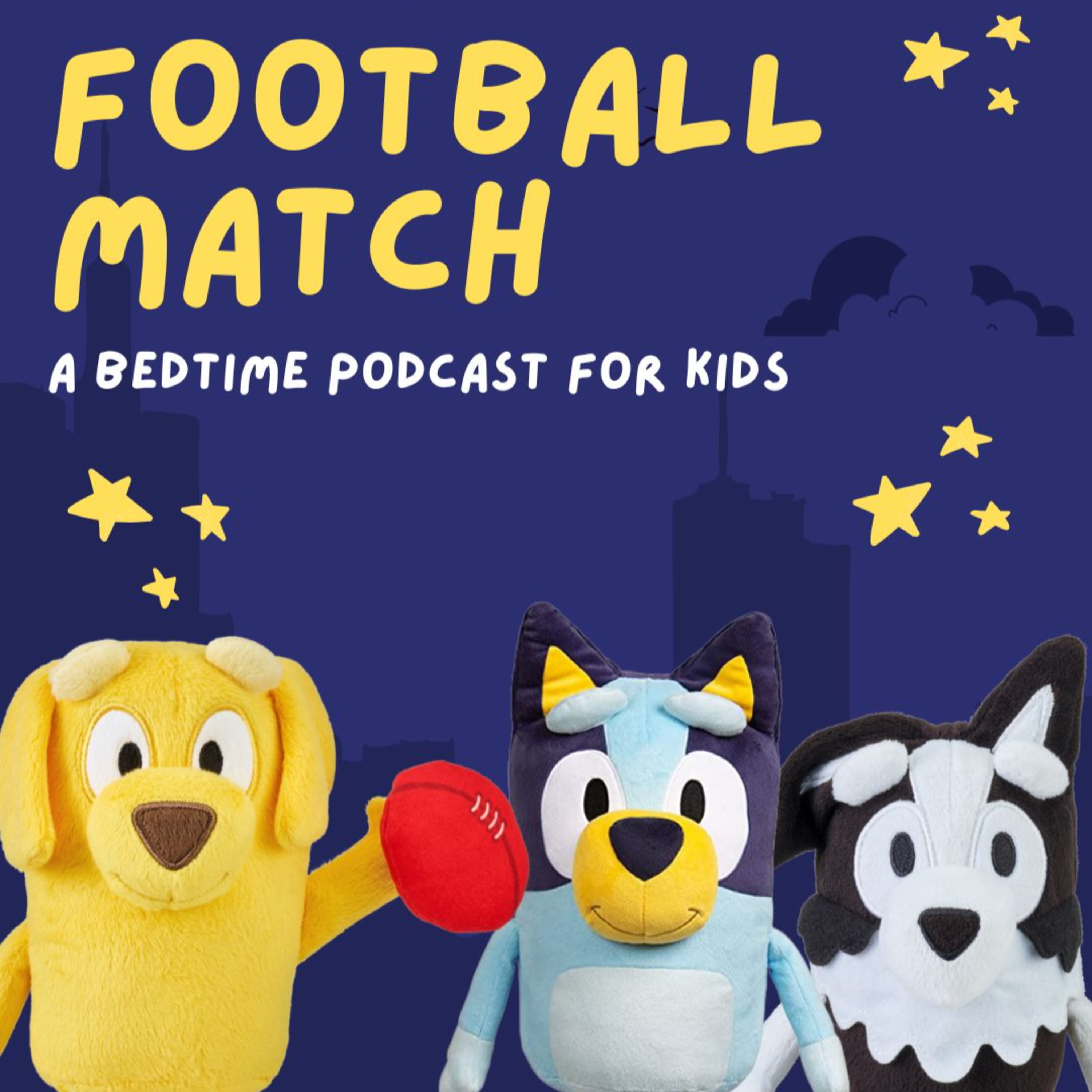 Bluey: Football Match