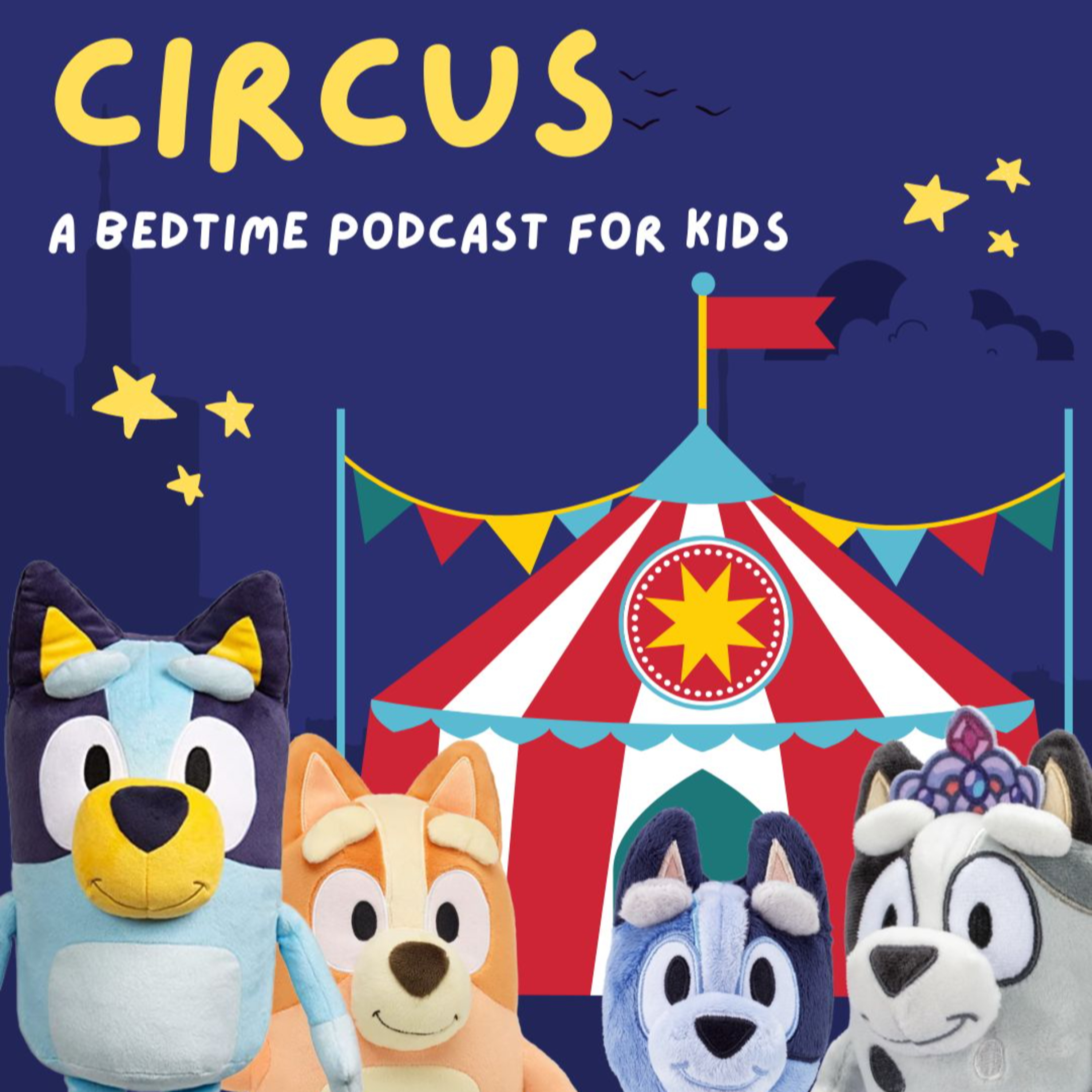 Bluey: Circus