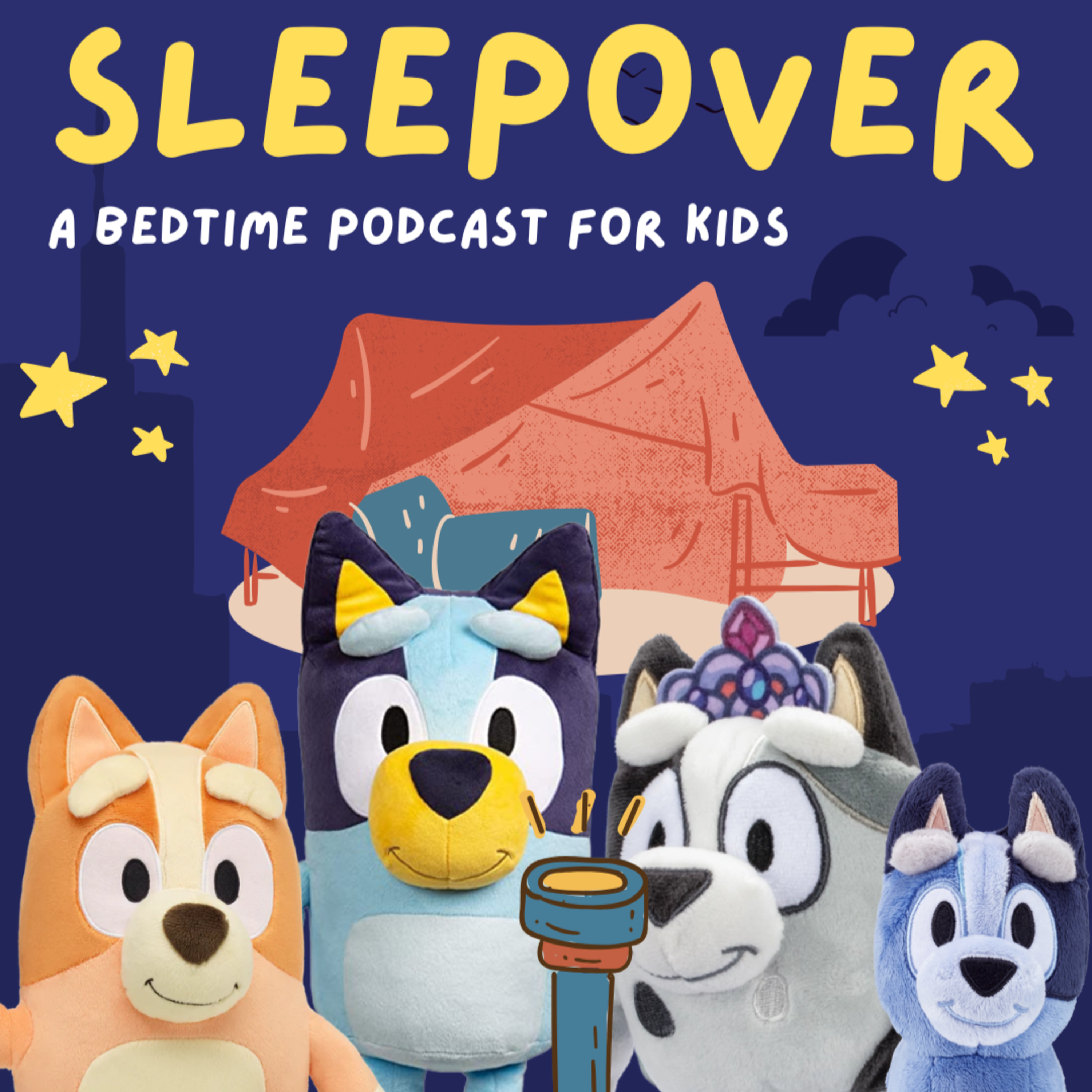 Bluey: Sleepover