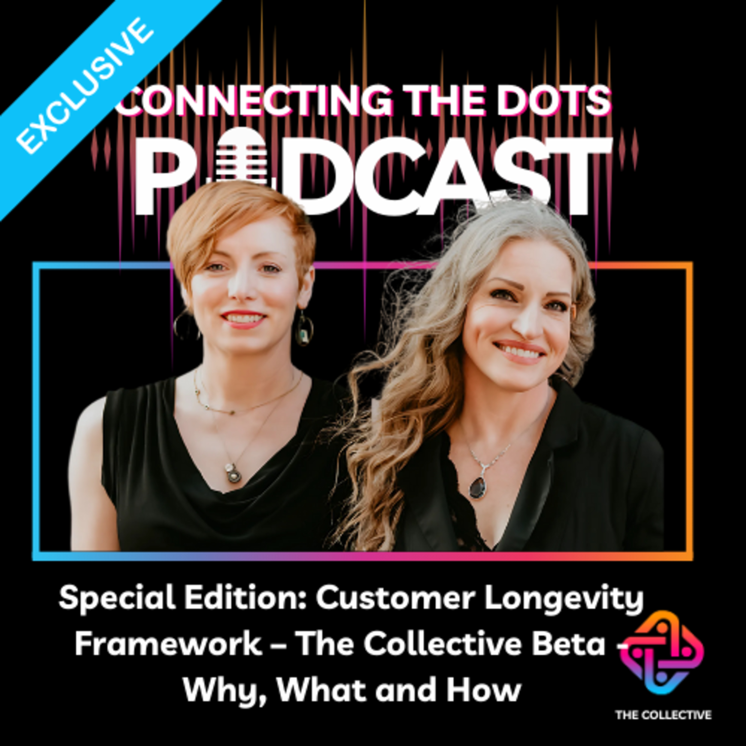 Special Edition: Customer Longevity Framework – The Collective Beta – Why, What and How