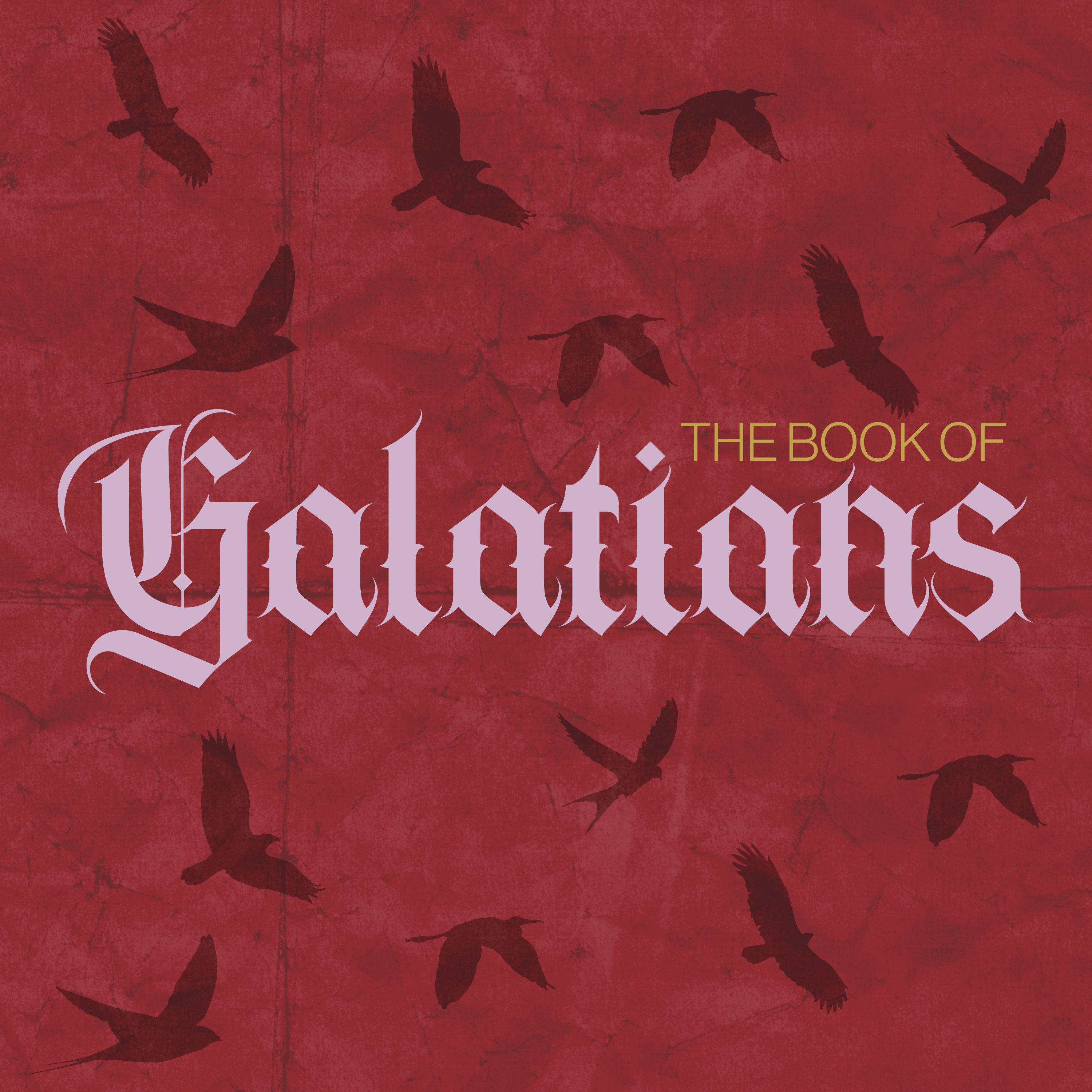 The Book of Galatians: Yet Not I
