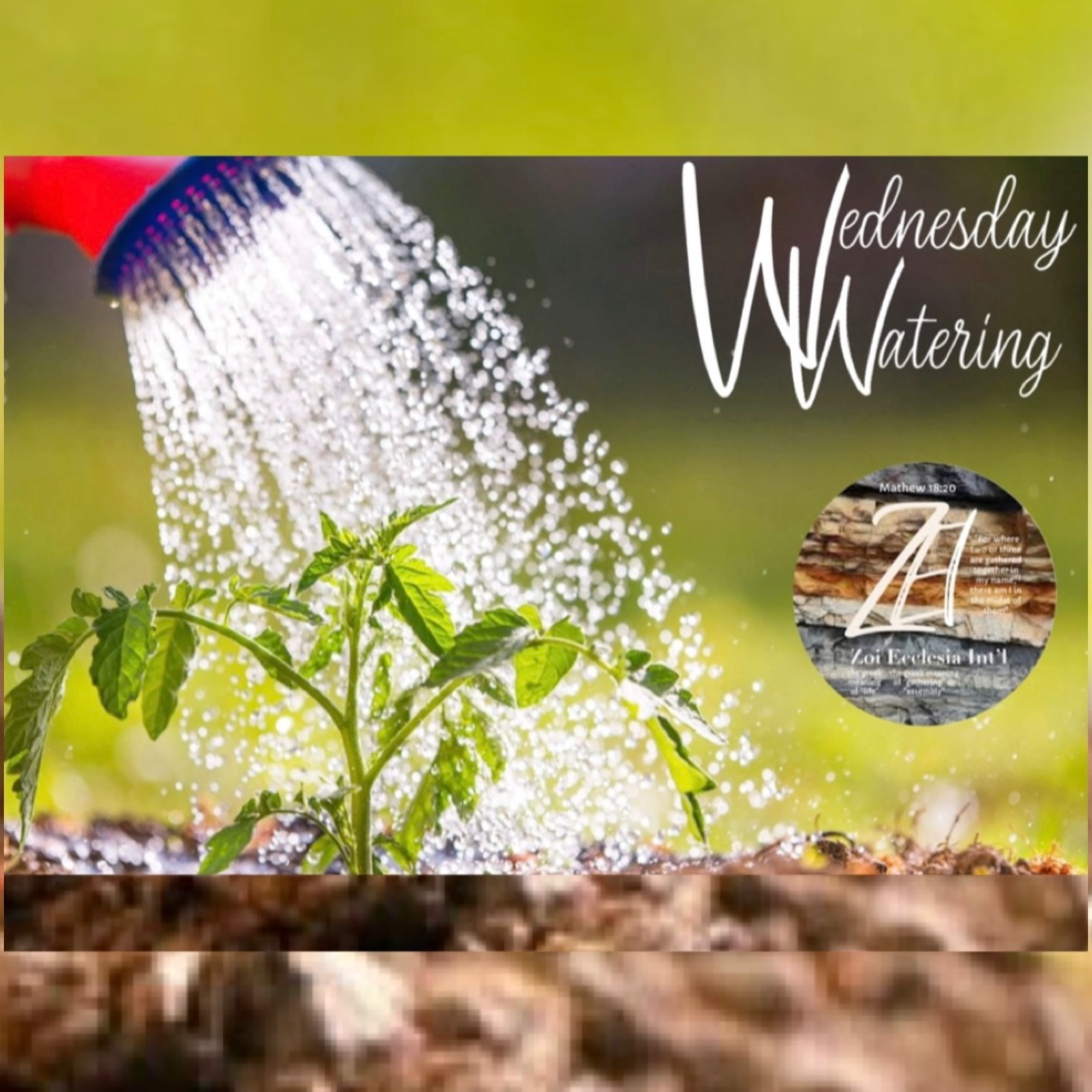 Wednesday Watering: A Renewal - The Mind (Intro) episode artwork