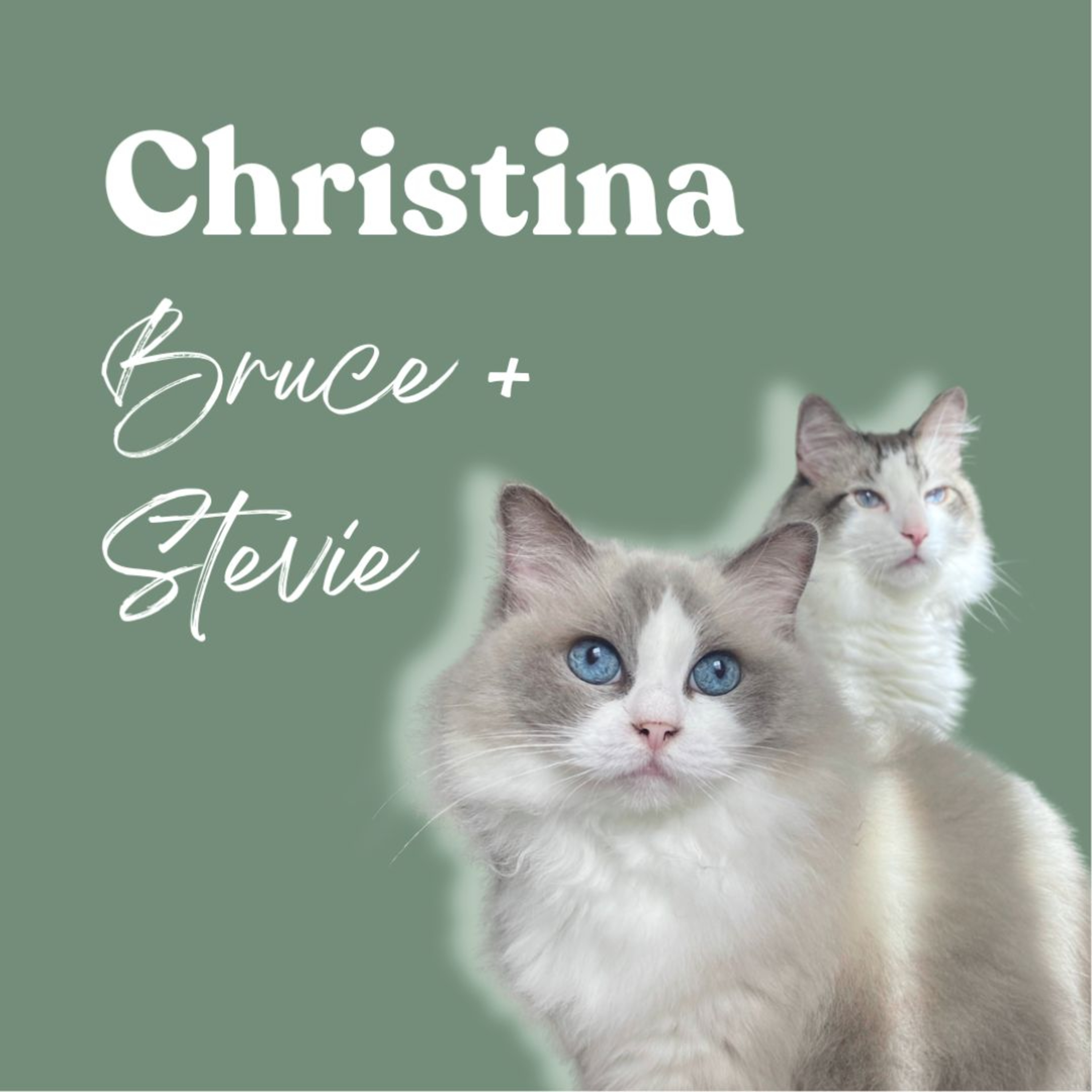 Inner Wild with Shay