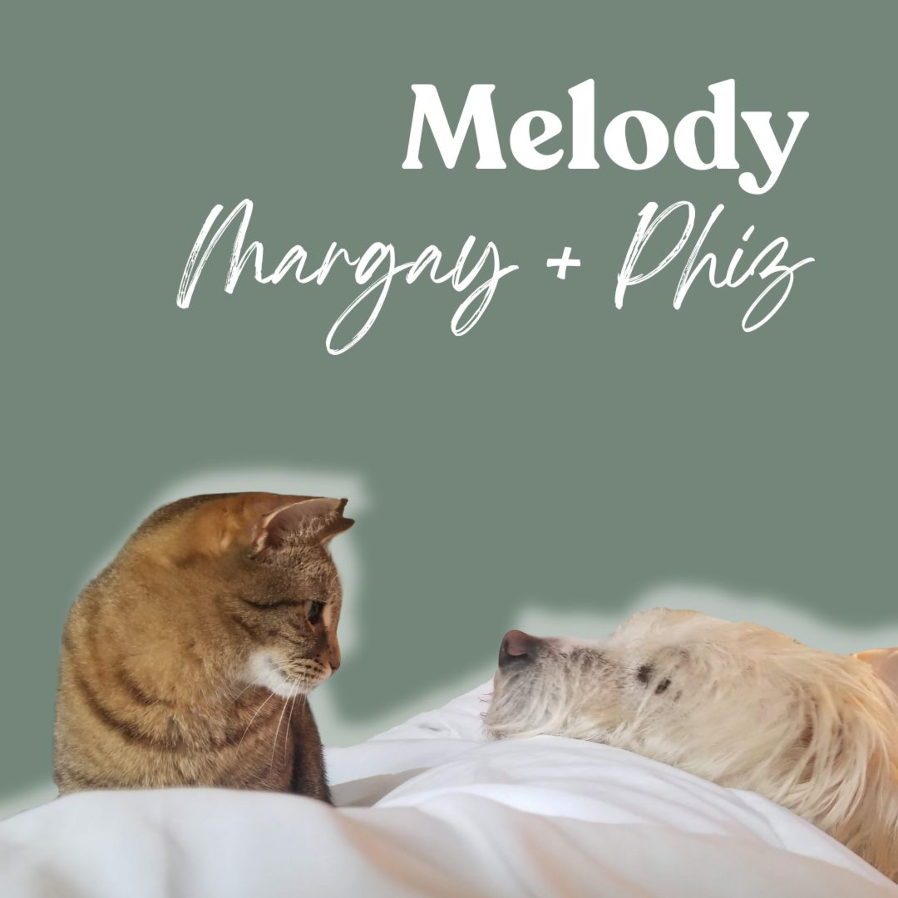 Meant to Meet: A Story of Soul Pets & Donor Siblings