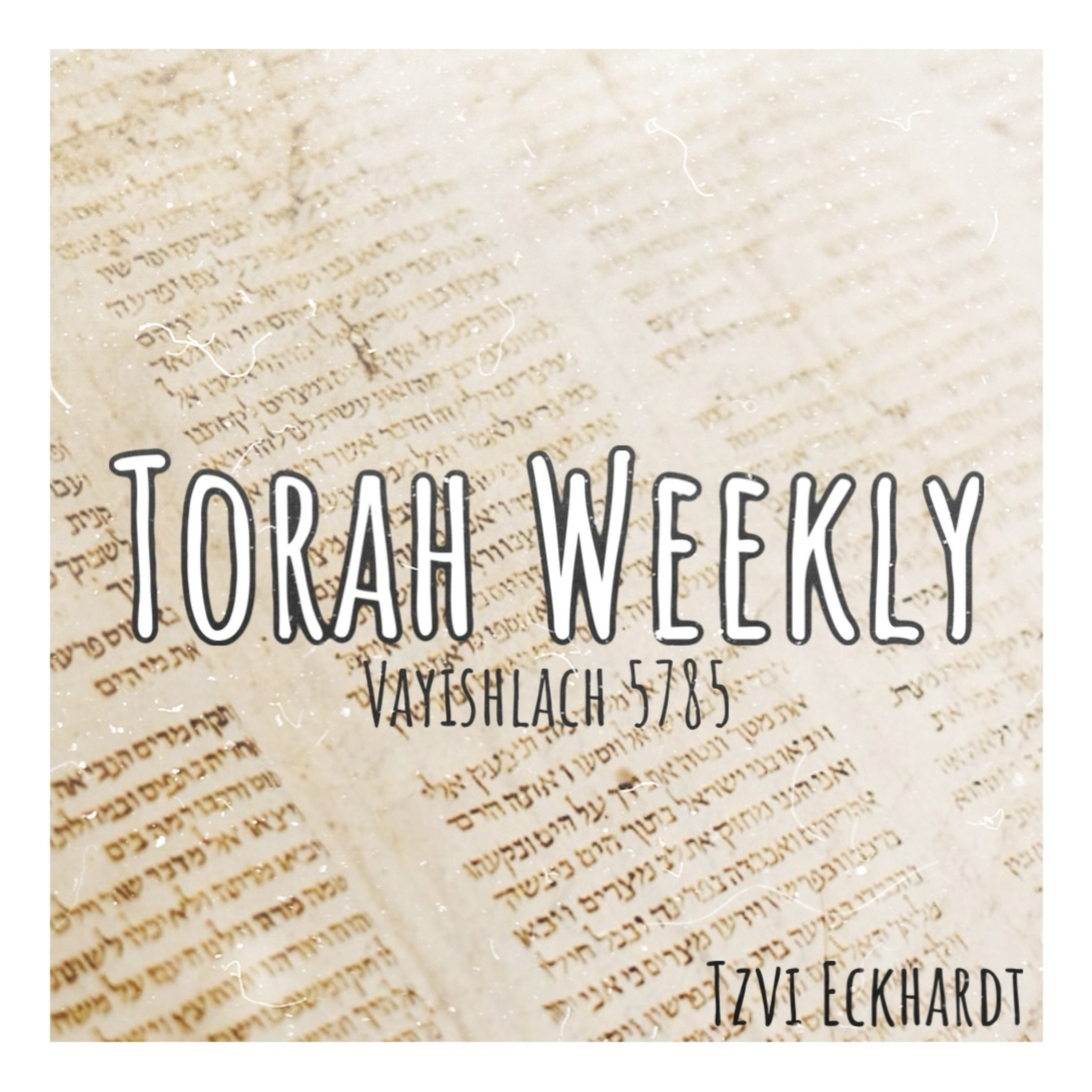 Torah Weekly