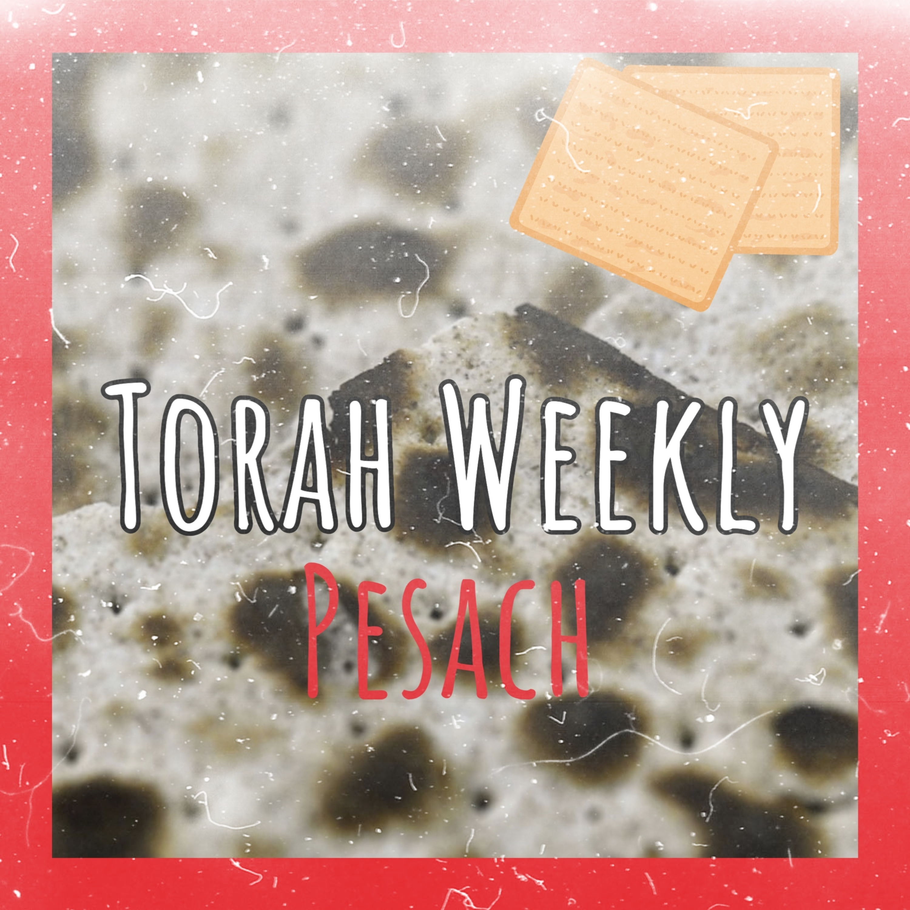 Torah Weekly