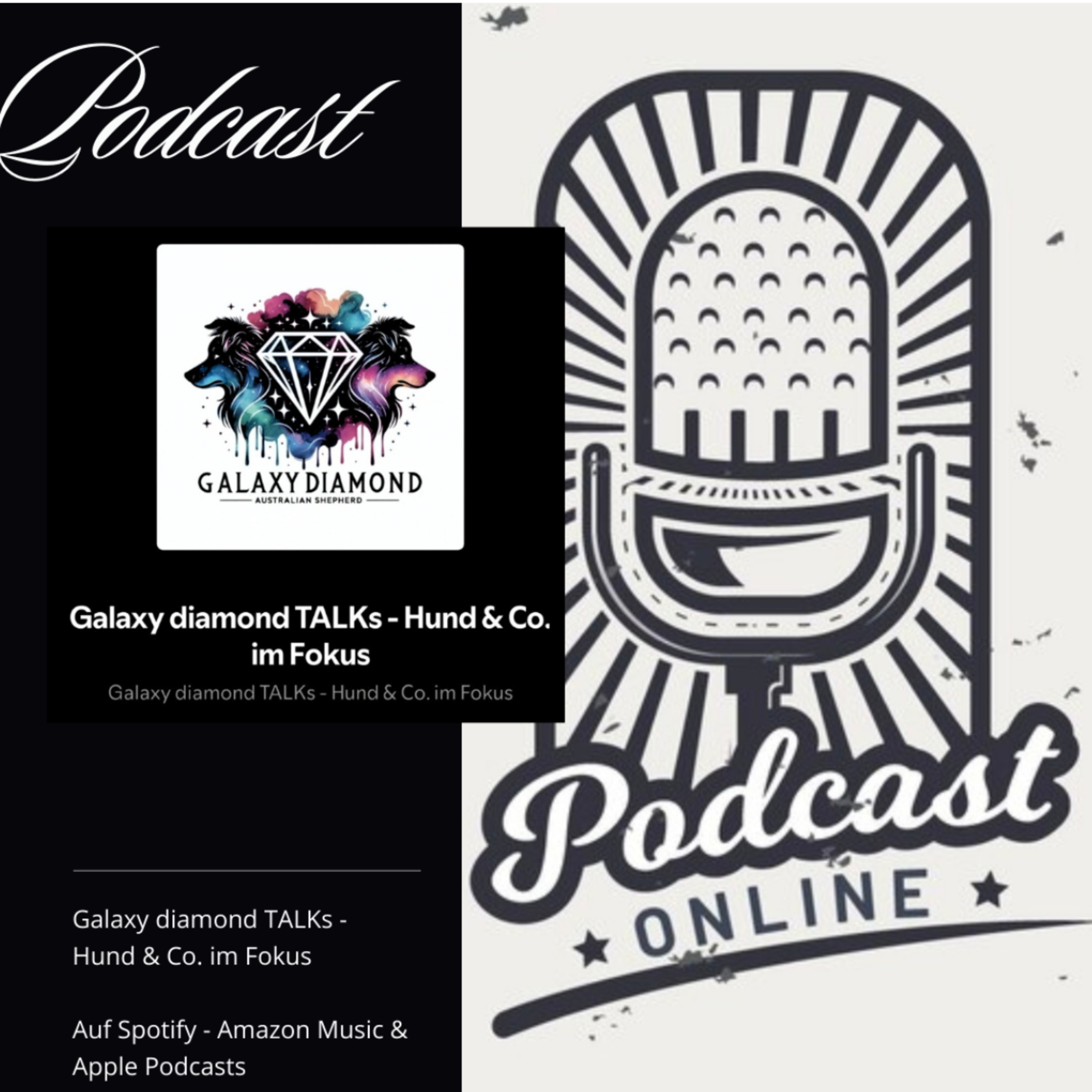 Galaxy diamond TALKs - Hund & Co. im Fokus