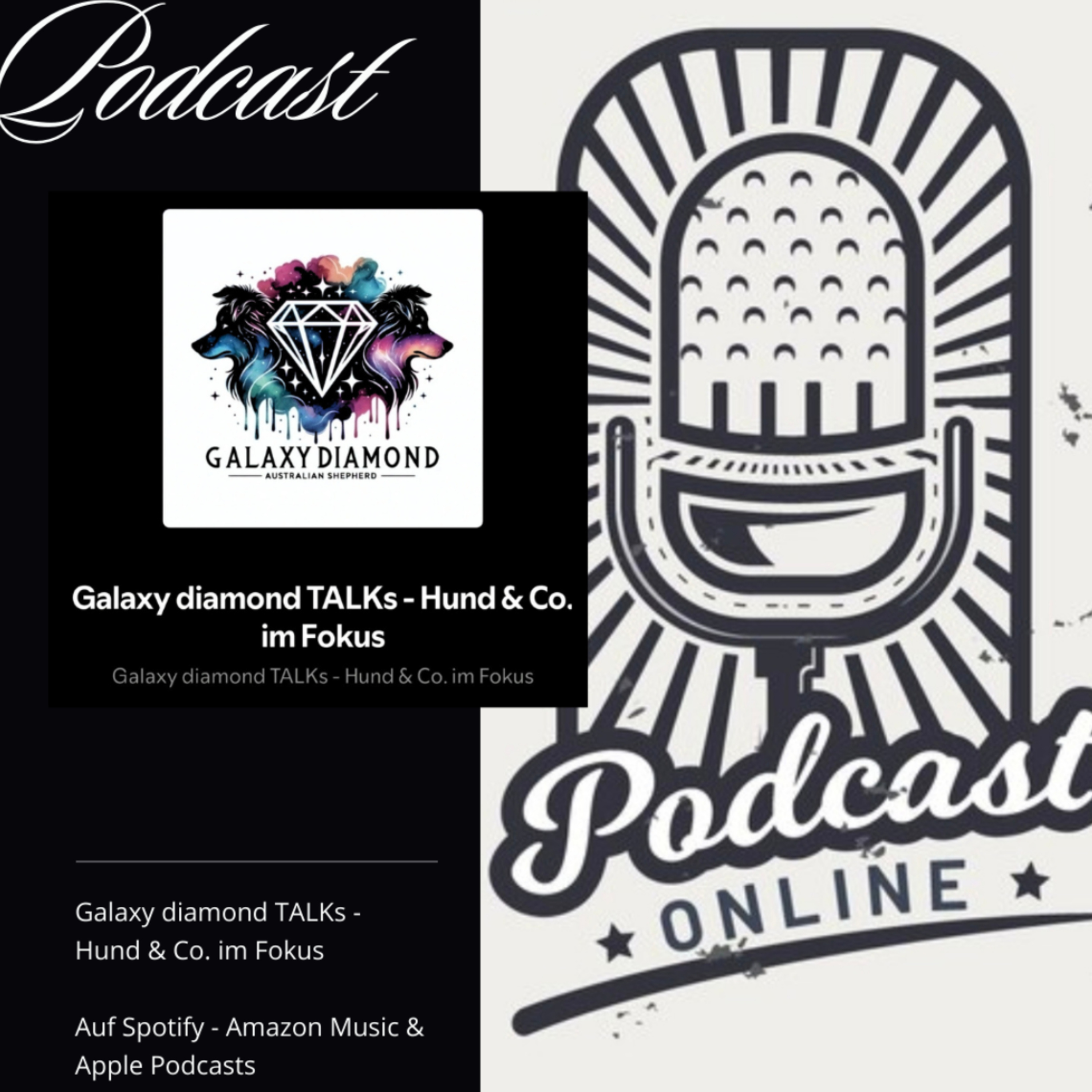 Galaxy diamond TALKs - Hund & Co. im Fokus