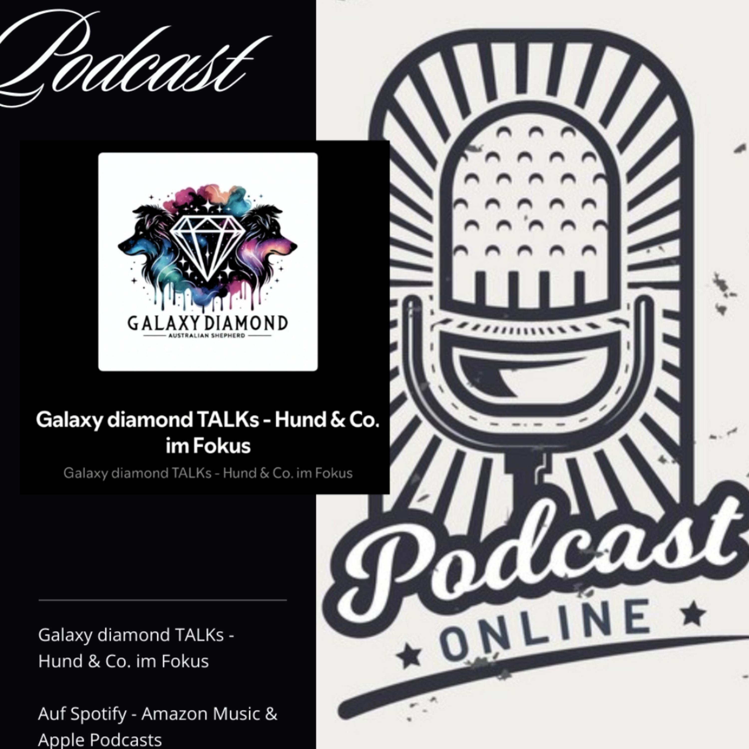 Galaxy diamond TALKs - Hund & Co. im Fokus