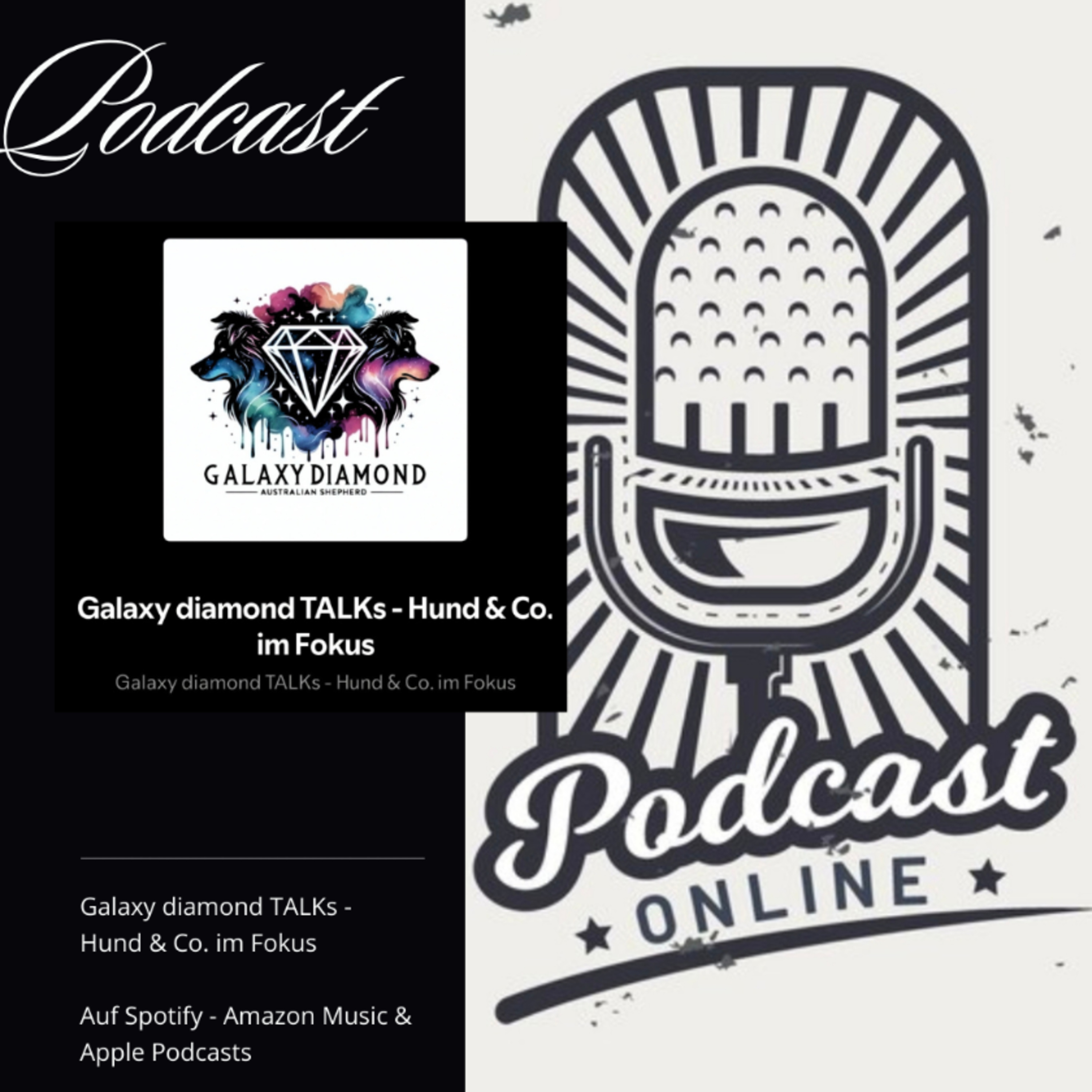 Galaxy diamond TALKs - Hund & Co. im Fokus