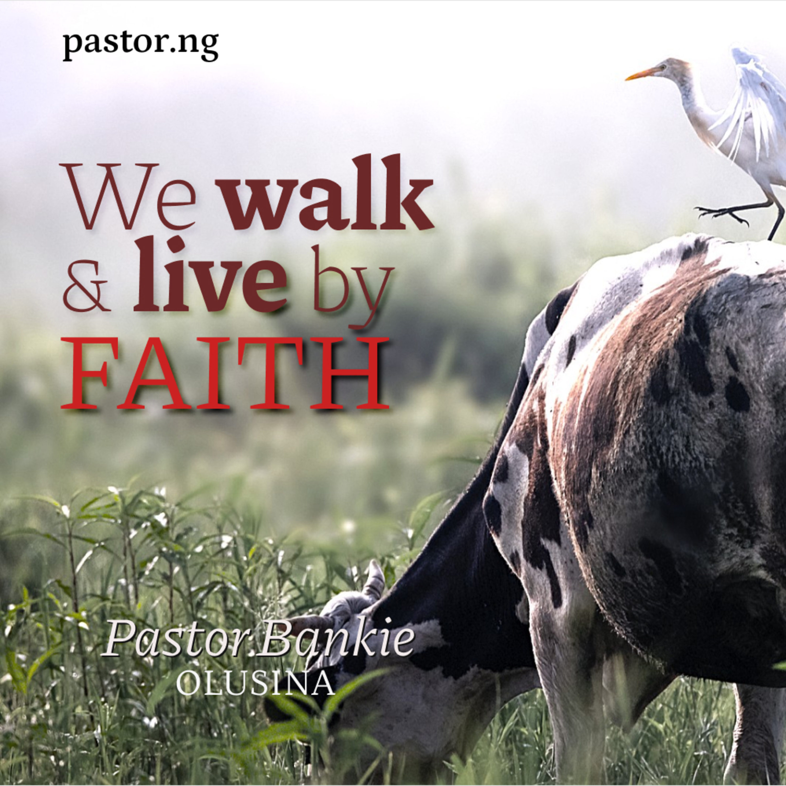 We Walk and Live by Faith-07 (Being a doer of the word - 1)