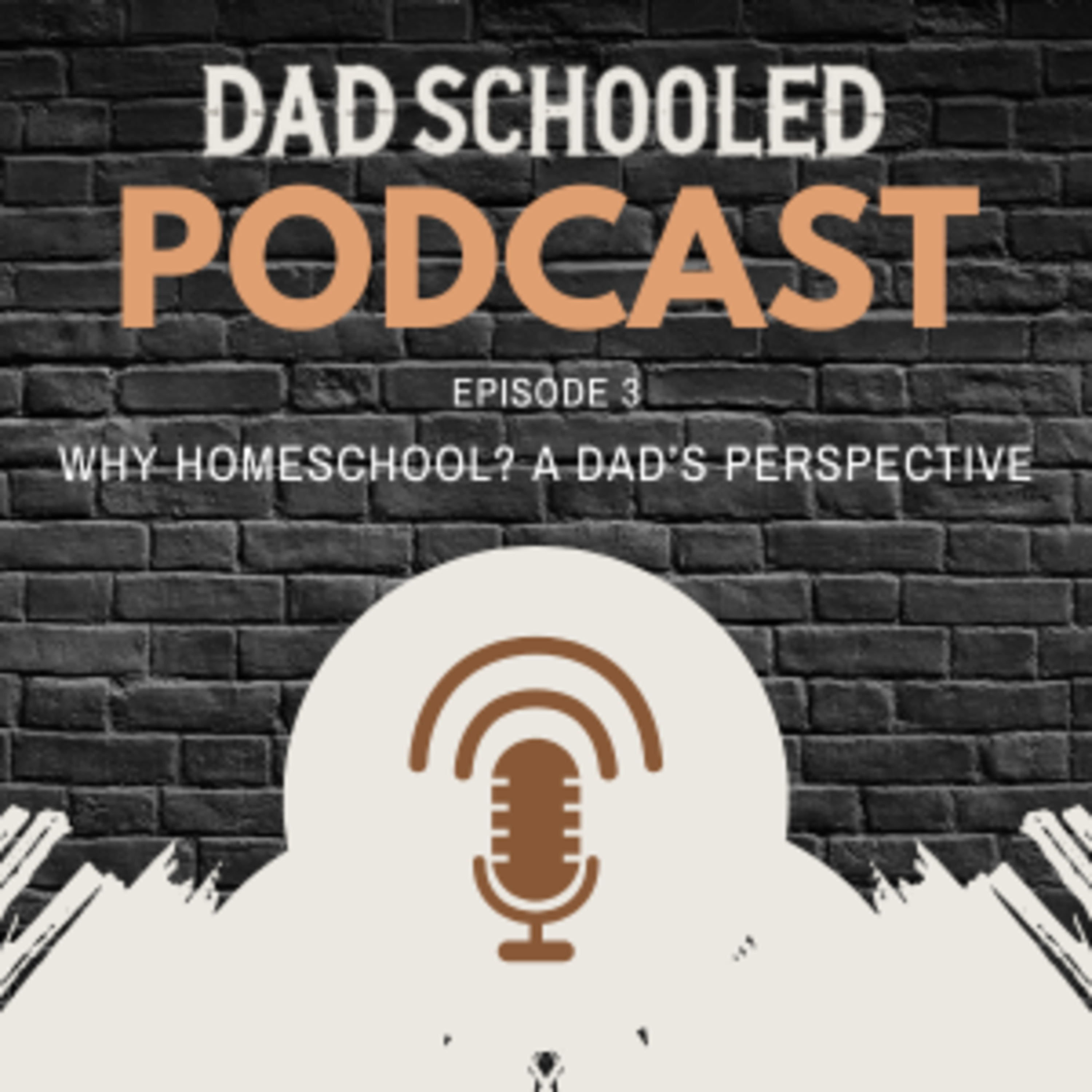 Episode 3: Why Homeschool? A Dad's Perspective episode artwork