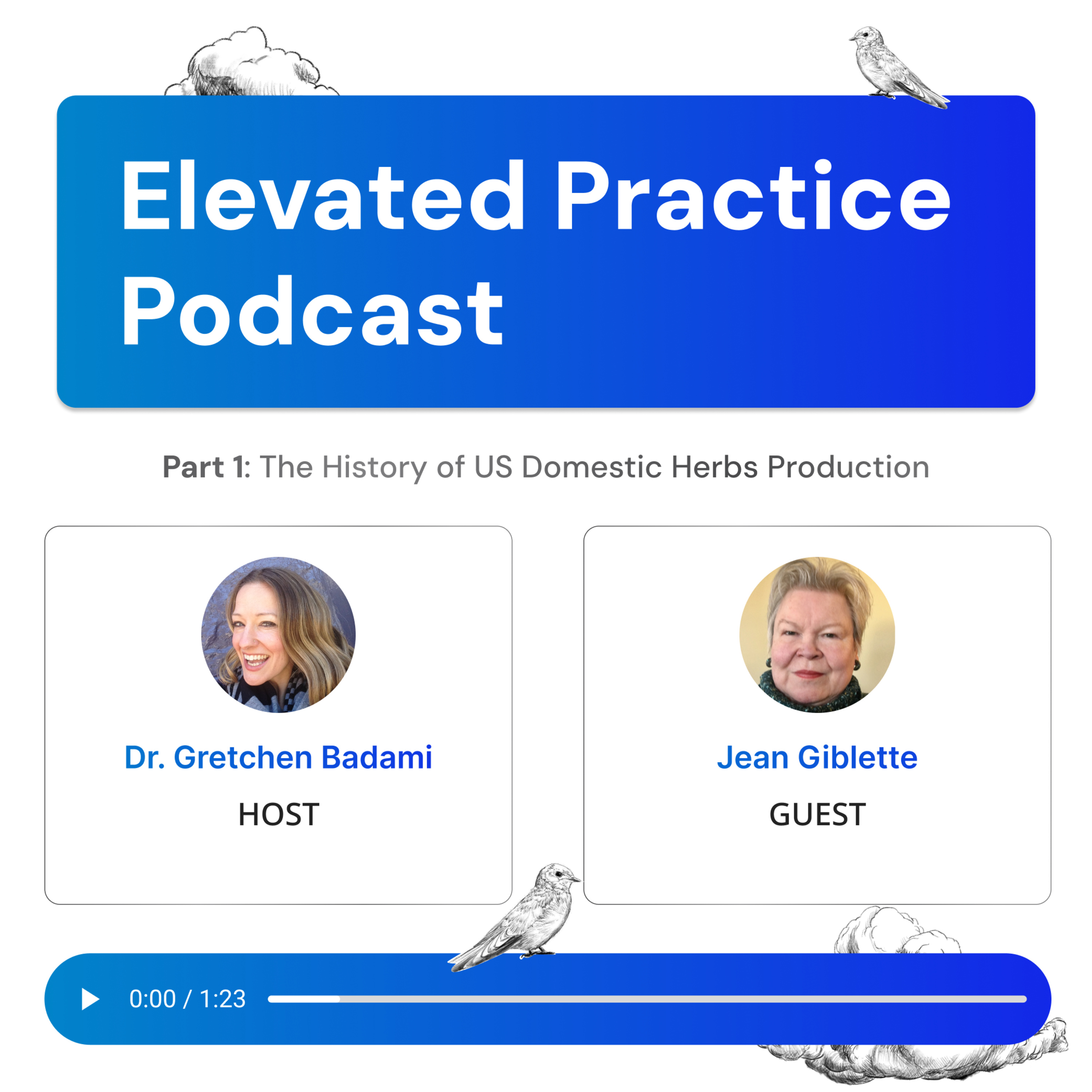 Elevated Practice Podcast