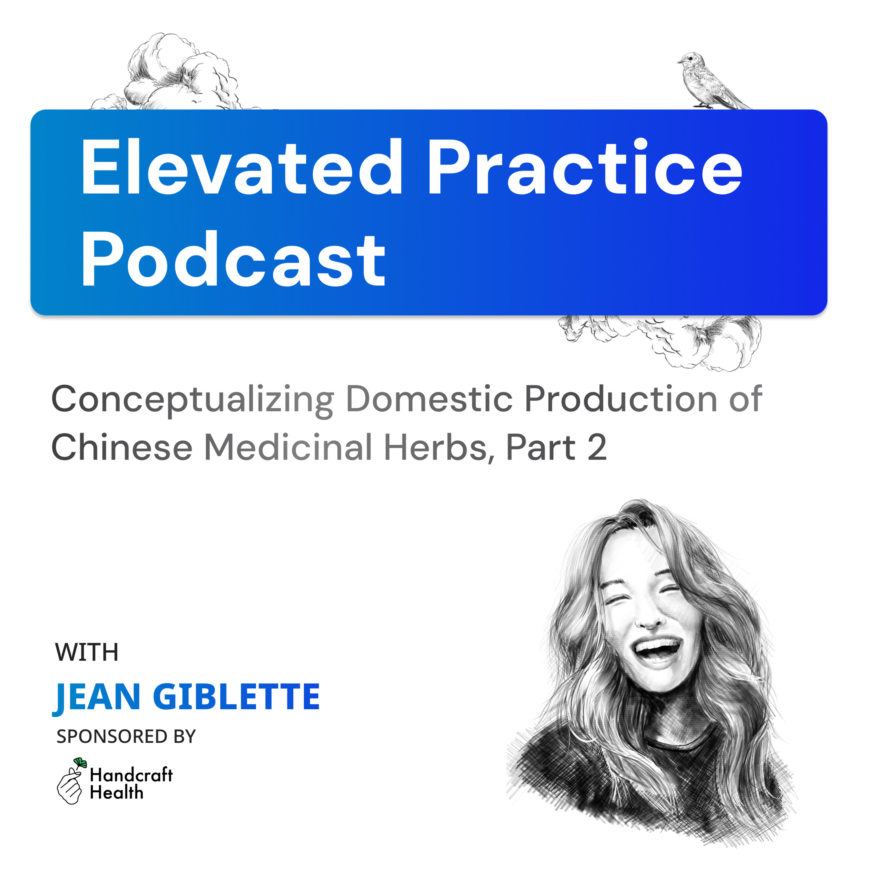 Elevated Practice Podcast