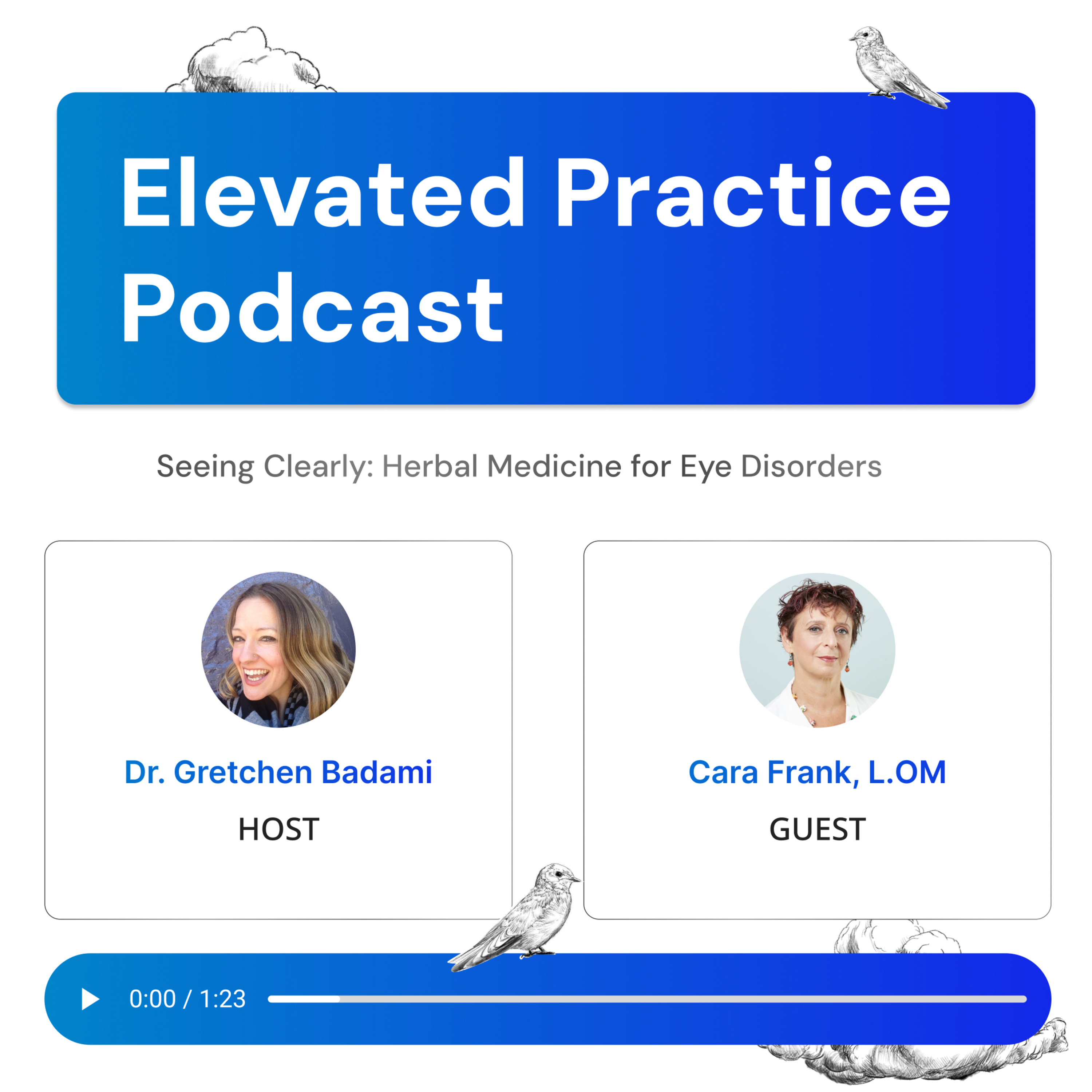 Elevated Practice Podcast