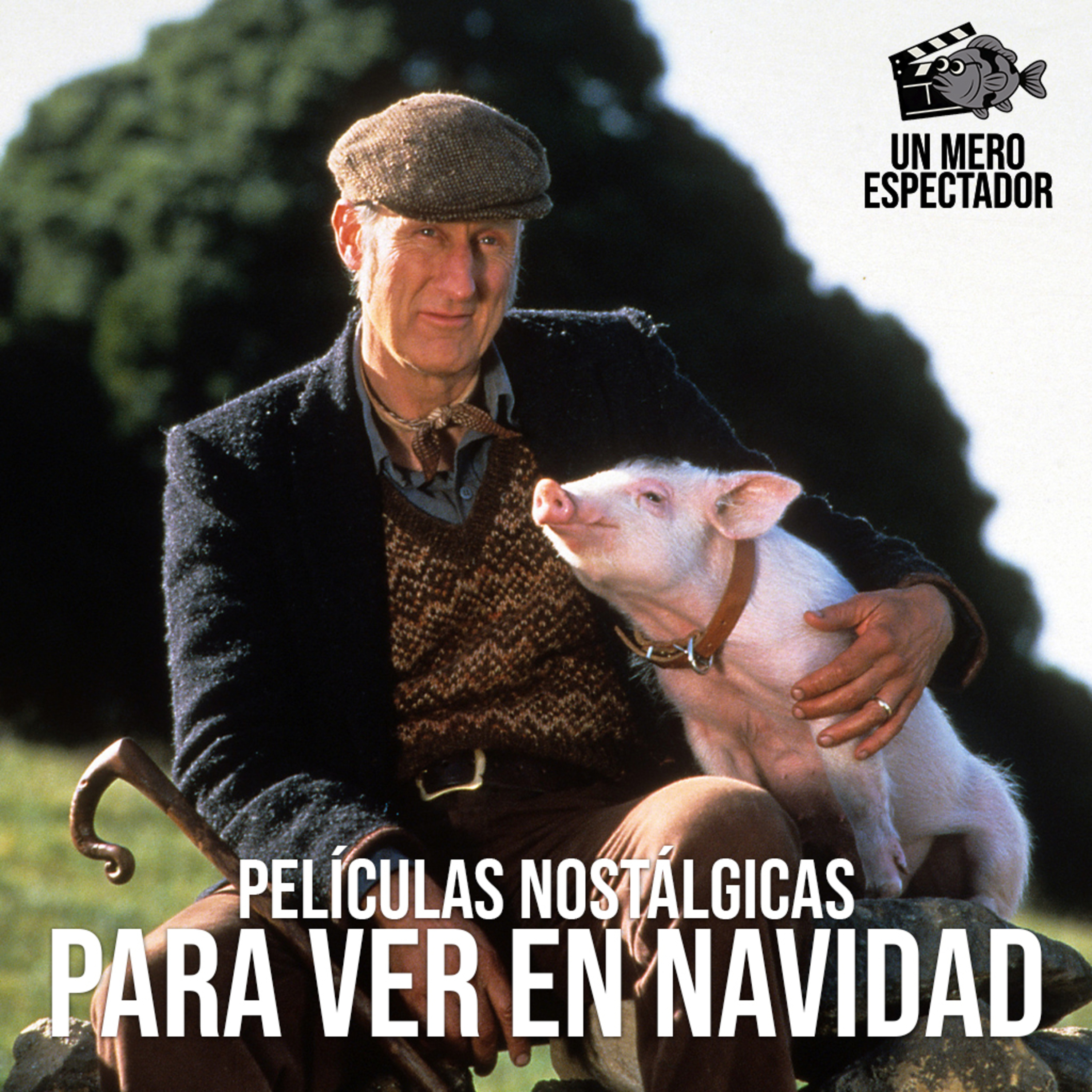 Portada de Un mero espectador