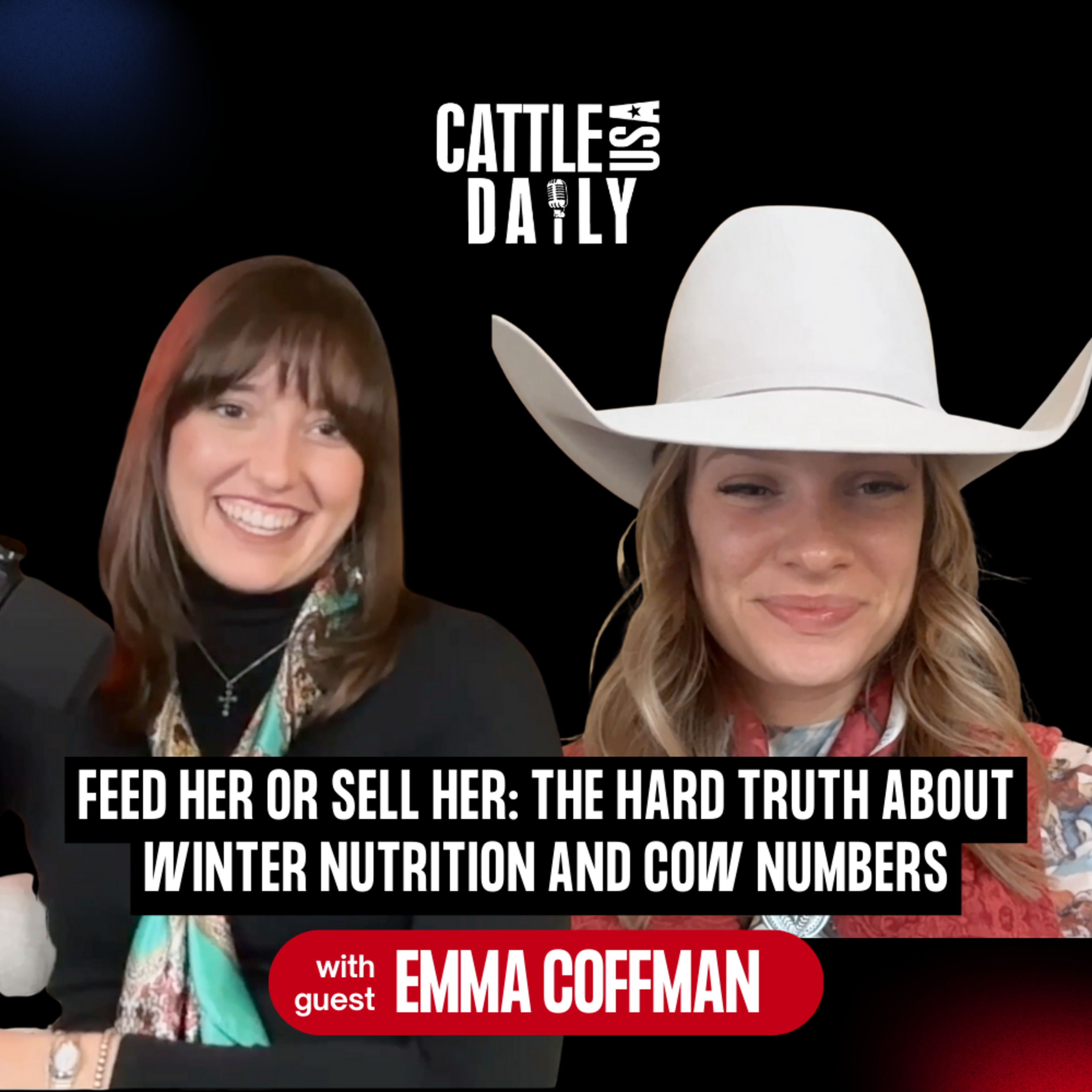 221: Feed Her or Sell Her: The Hard Truth About Winter Nutrition and Cow Numbers with Emma Coffman episode artwork