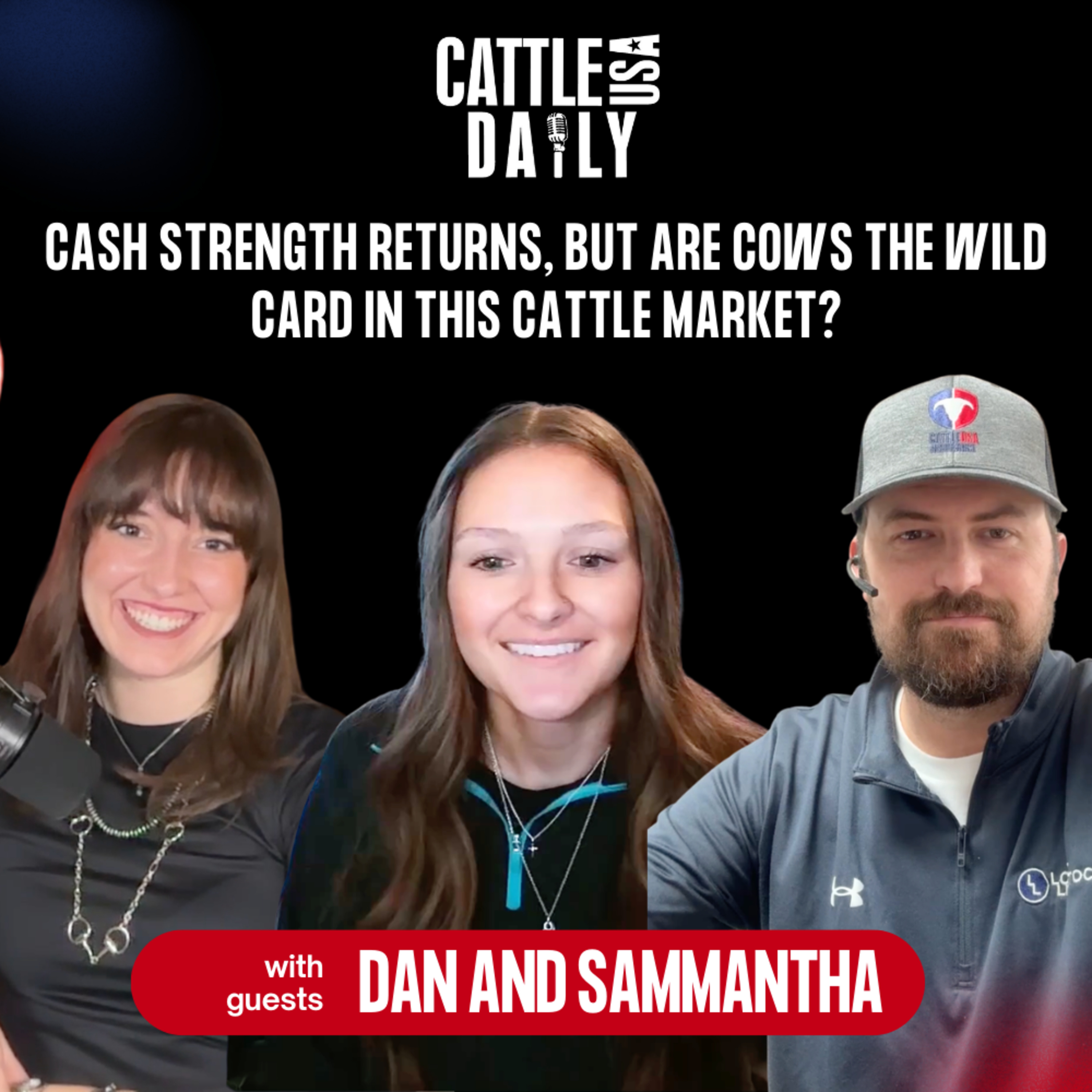 268: Cash Strength Returns, But Are Cows the Wild Card in This Cattle Market? episode artwork