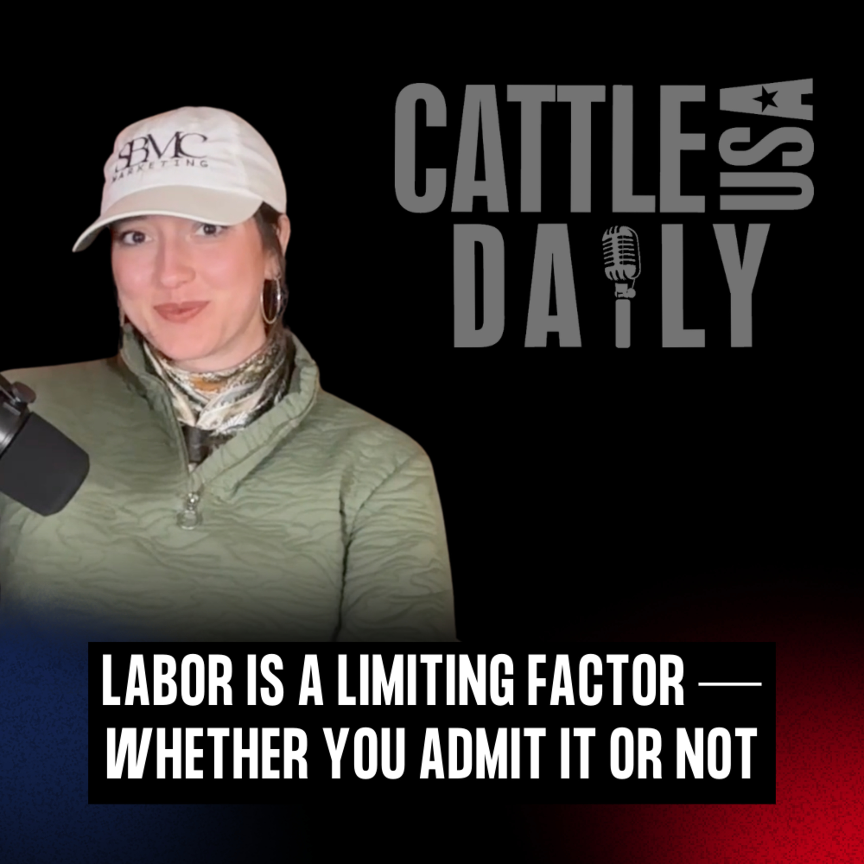 277: Labor Is a Limiting Factor — Whether You Admit It or Not episode artwork
