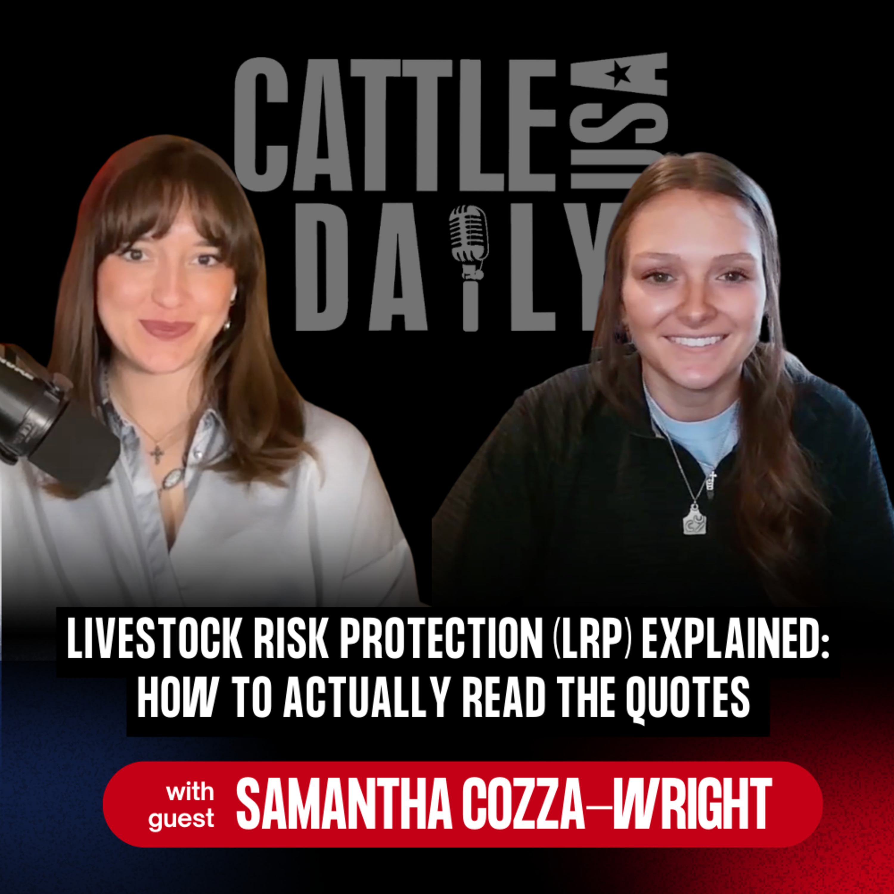 281: Livestock Risk Protection (LRP) Explained: How to Actually Read the Quotes  episode artwork