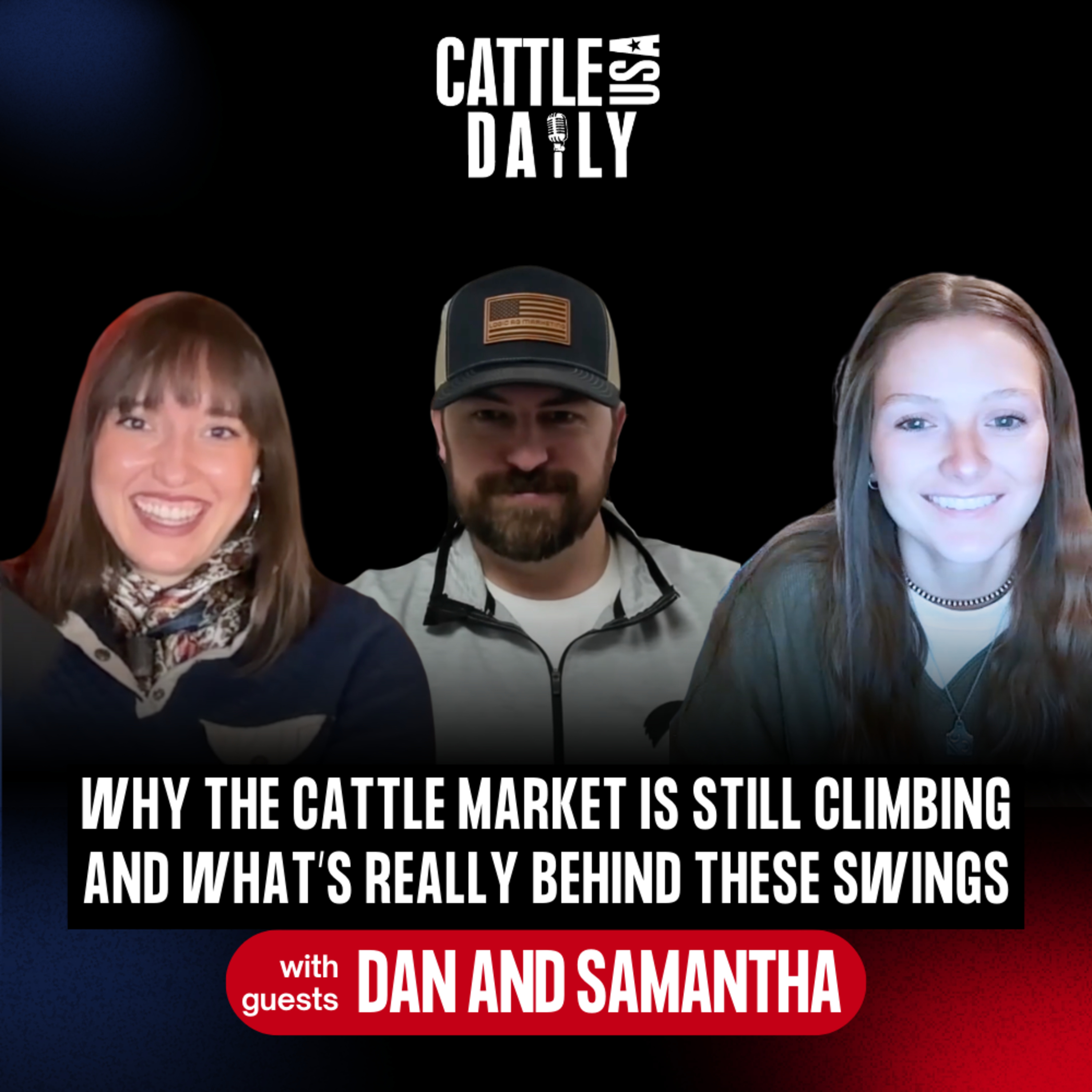 288: Why the Cattle Market Is Still Climbing and What’s Really Behind the Swings episode artwork
