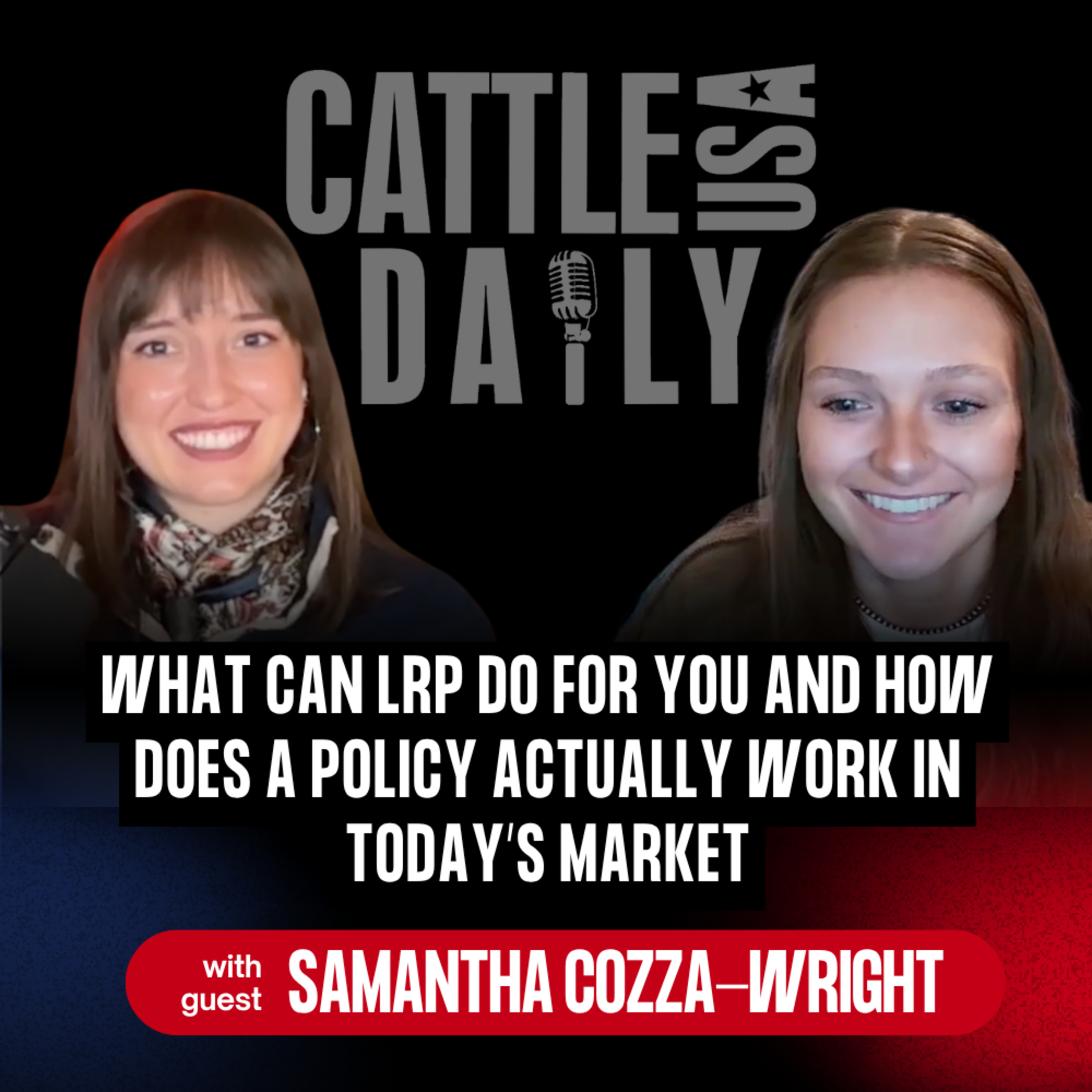 291: What Can LRP Do For You and How Does a Policy Actually Work in Today’s Market episode artwork