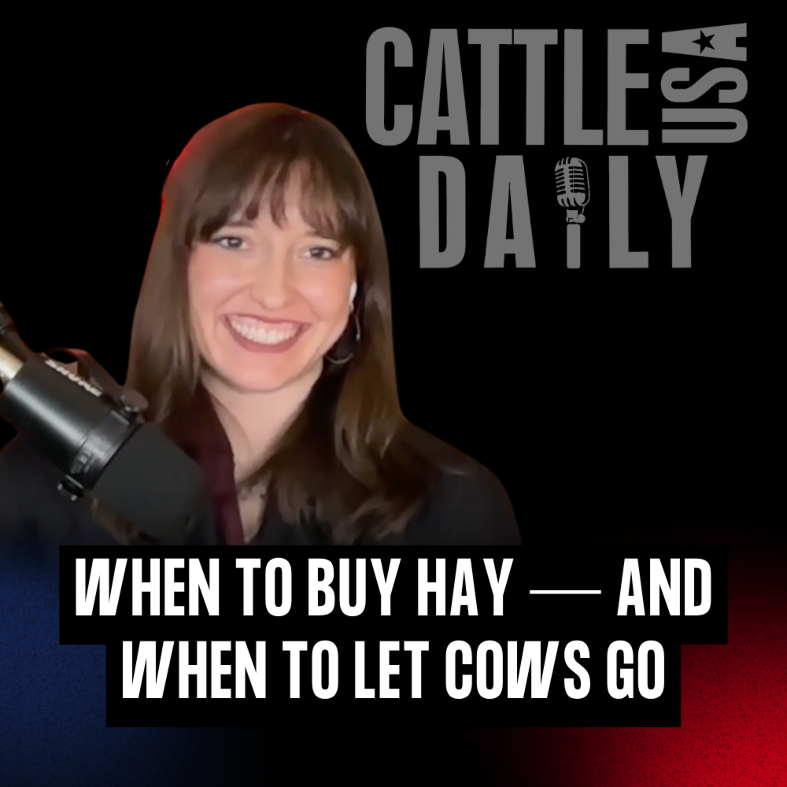 295: When to Buy Hay — and When to Let Cows Go episode artwork