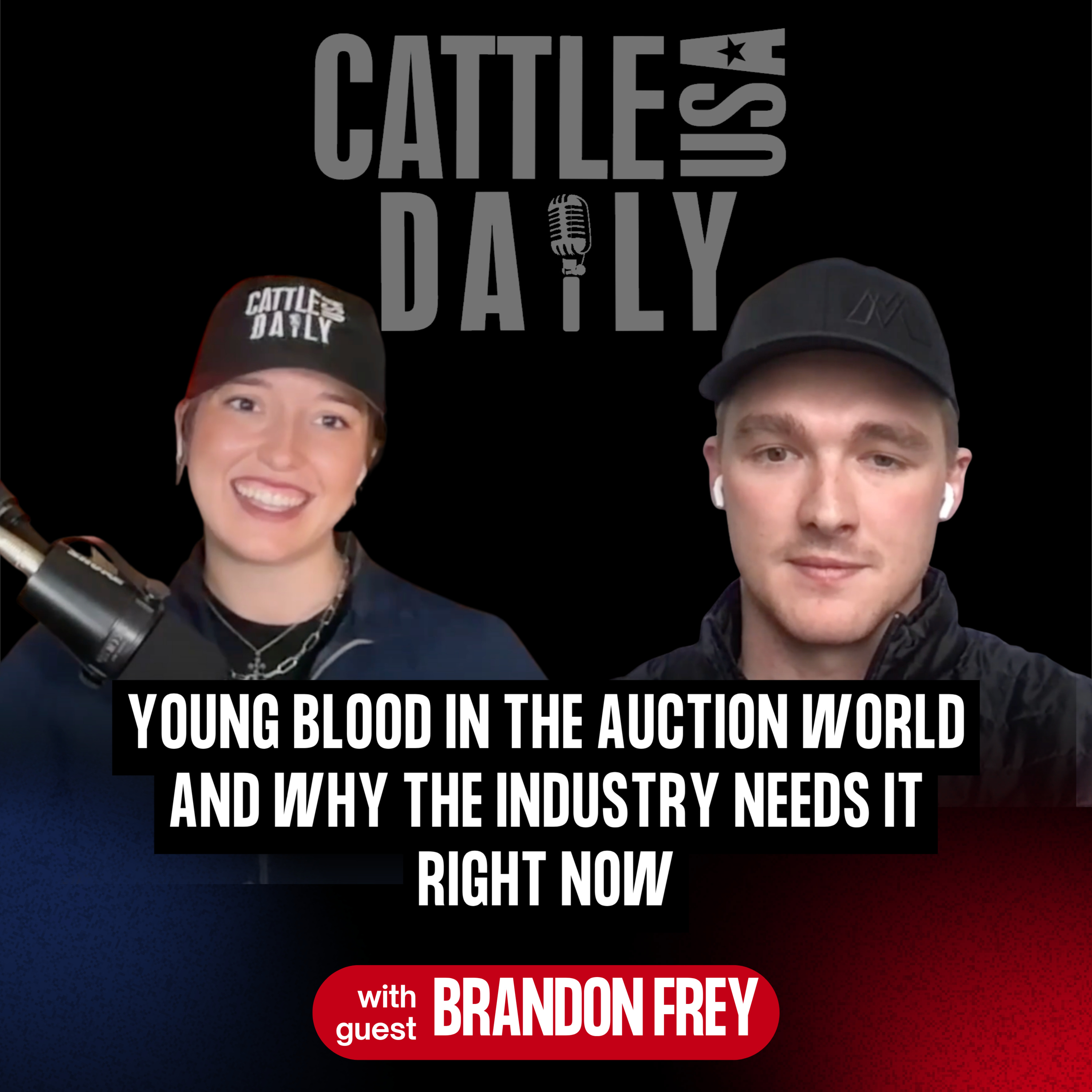 CattleUSA Daily