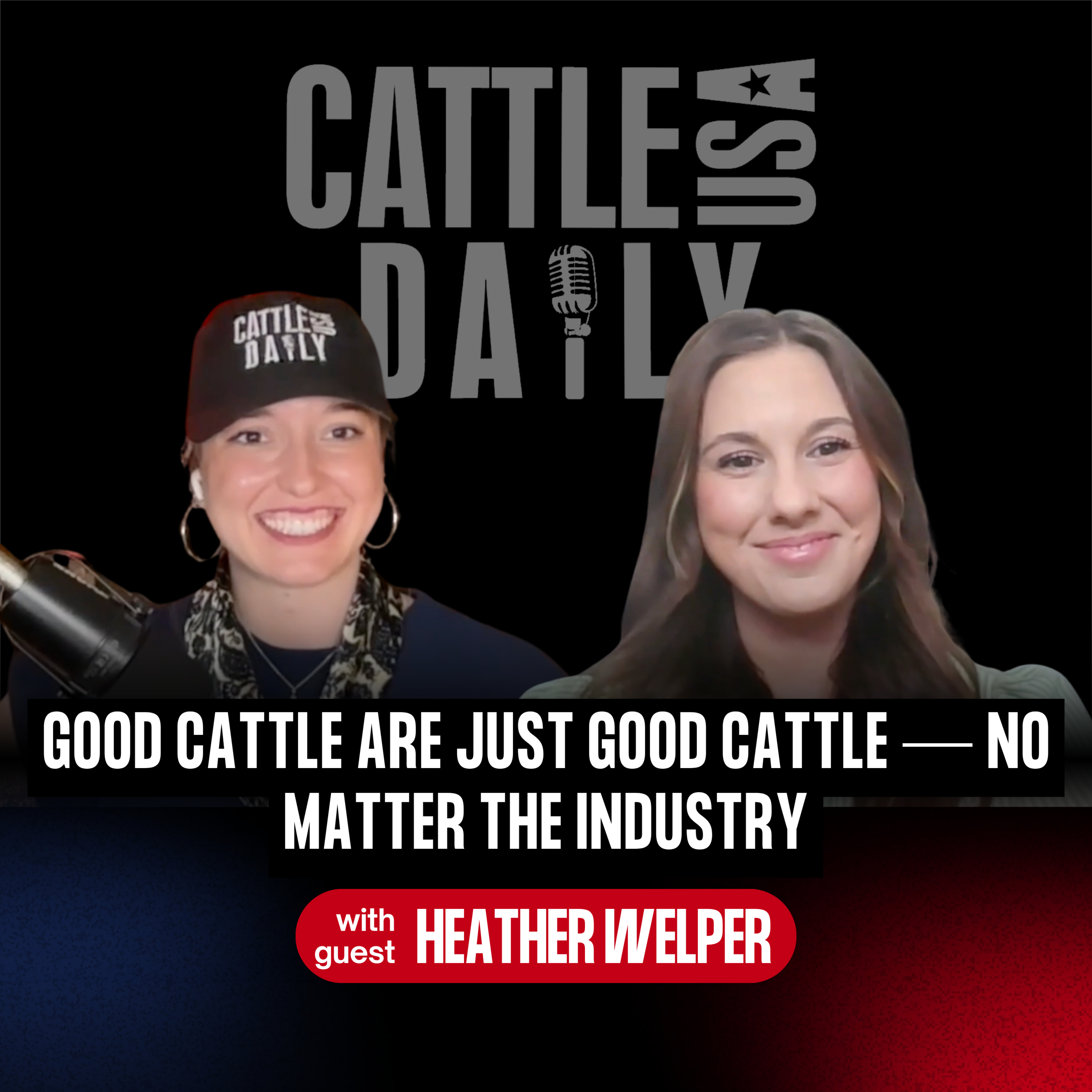 326: Good Cattle Are Just Good Cattle — No Matter the Industry with Heather Welper episode artwork