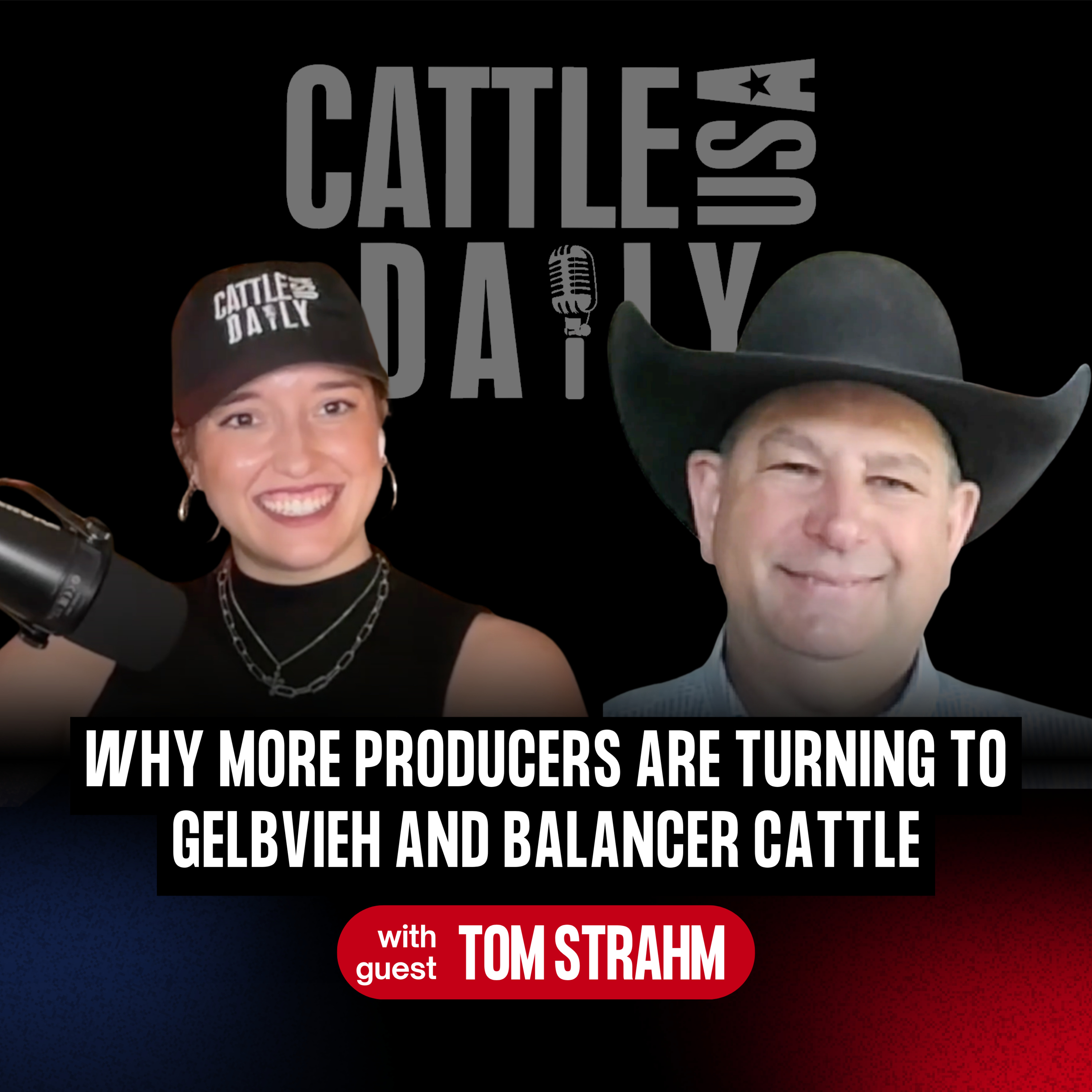 327: Why More Producers Are Turning to Gelbvieh and Balancer Cattle with Tom Strahm episode artwork