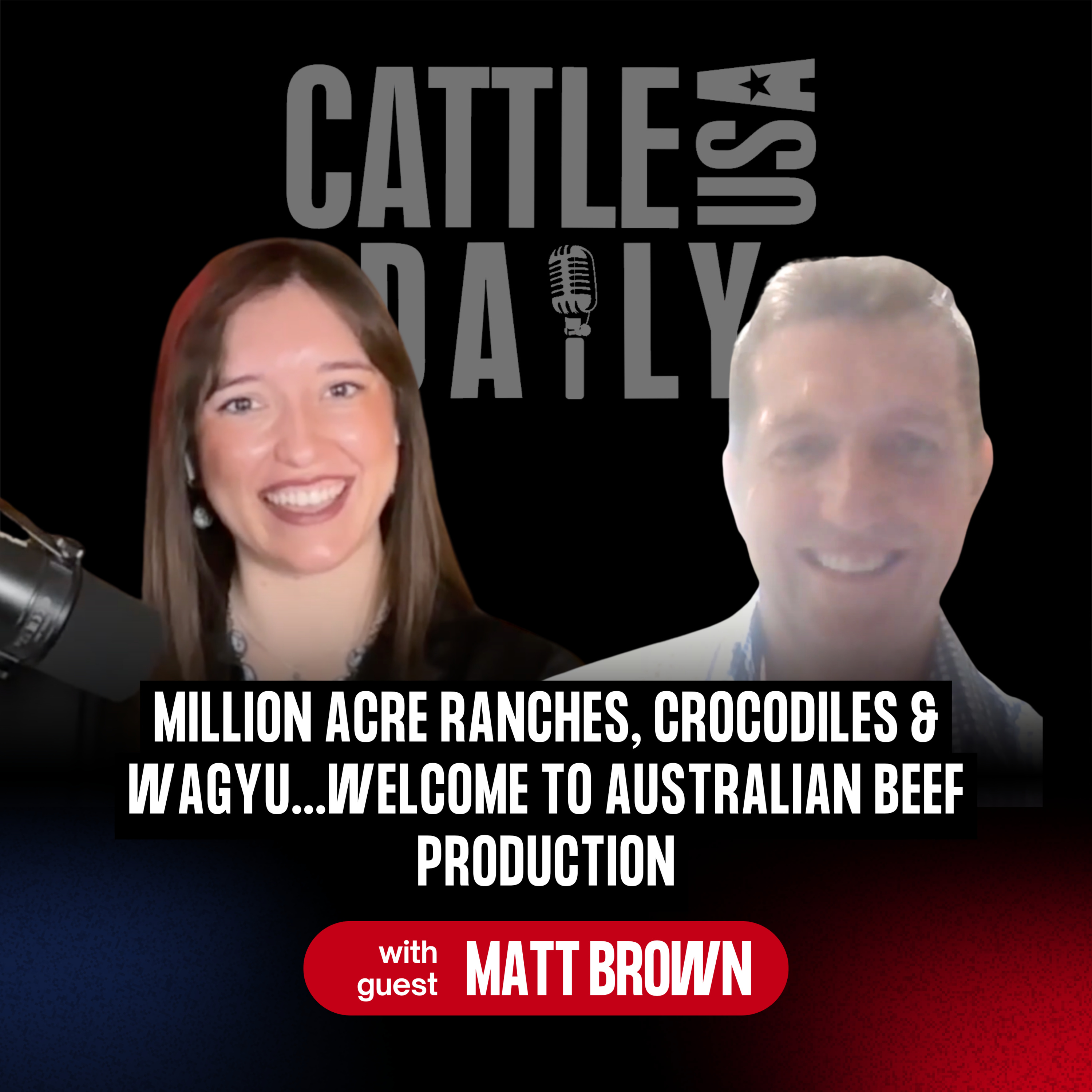 335: Million Acre Ranches, Crocodiles & Wagyu… Welcome to Australian Beef Production with Matt Brown episode artwork