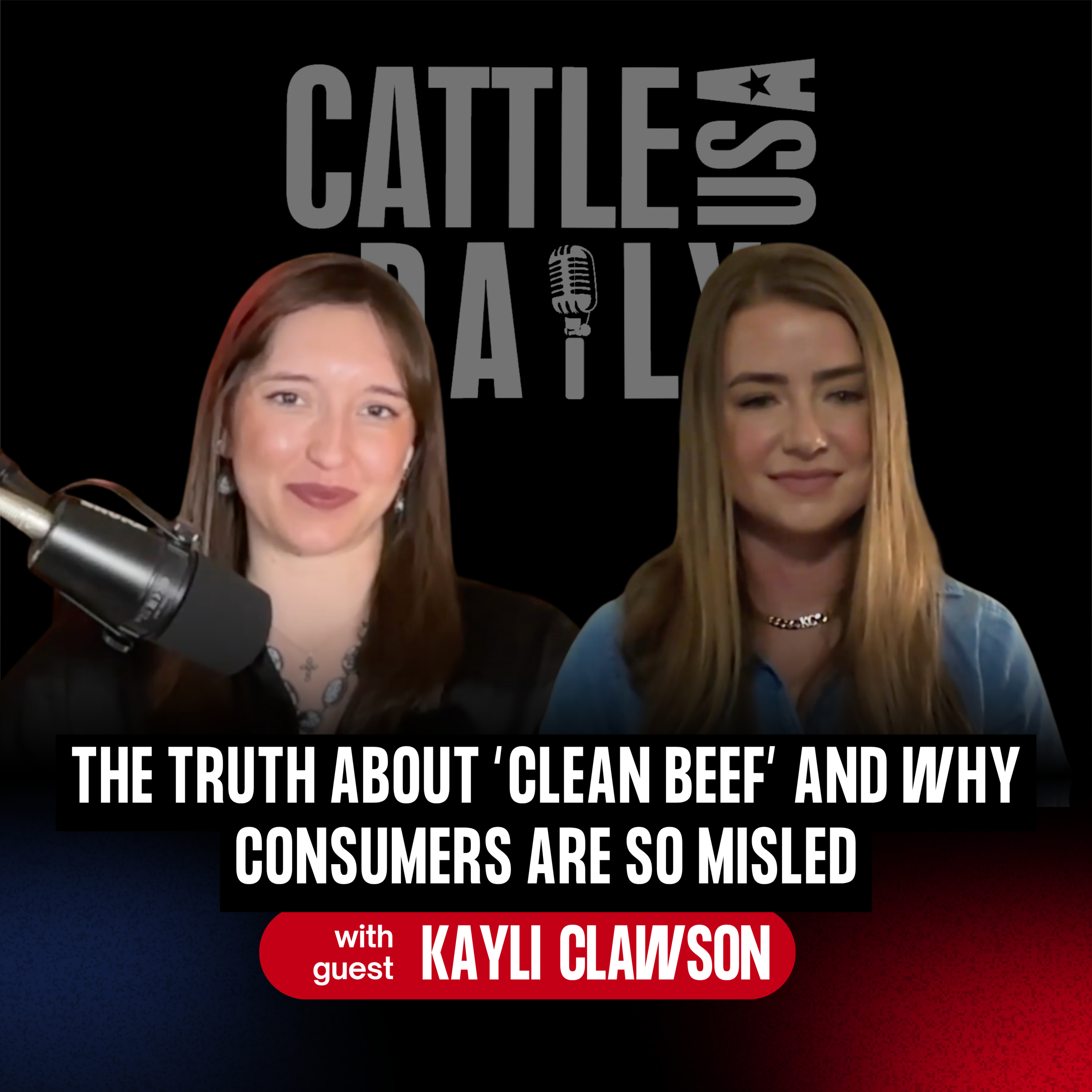 336: The Truth About “Clean Beef” and Why Consumers Are So Misled with Kayli Clawson episode artwork