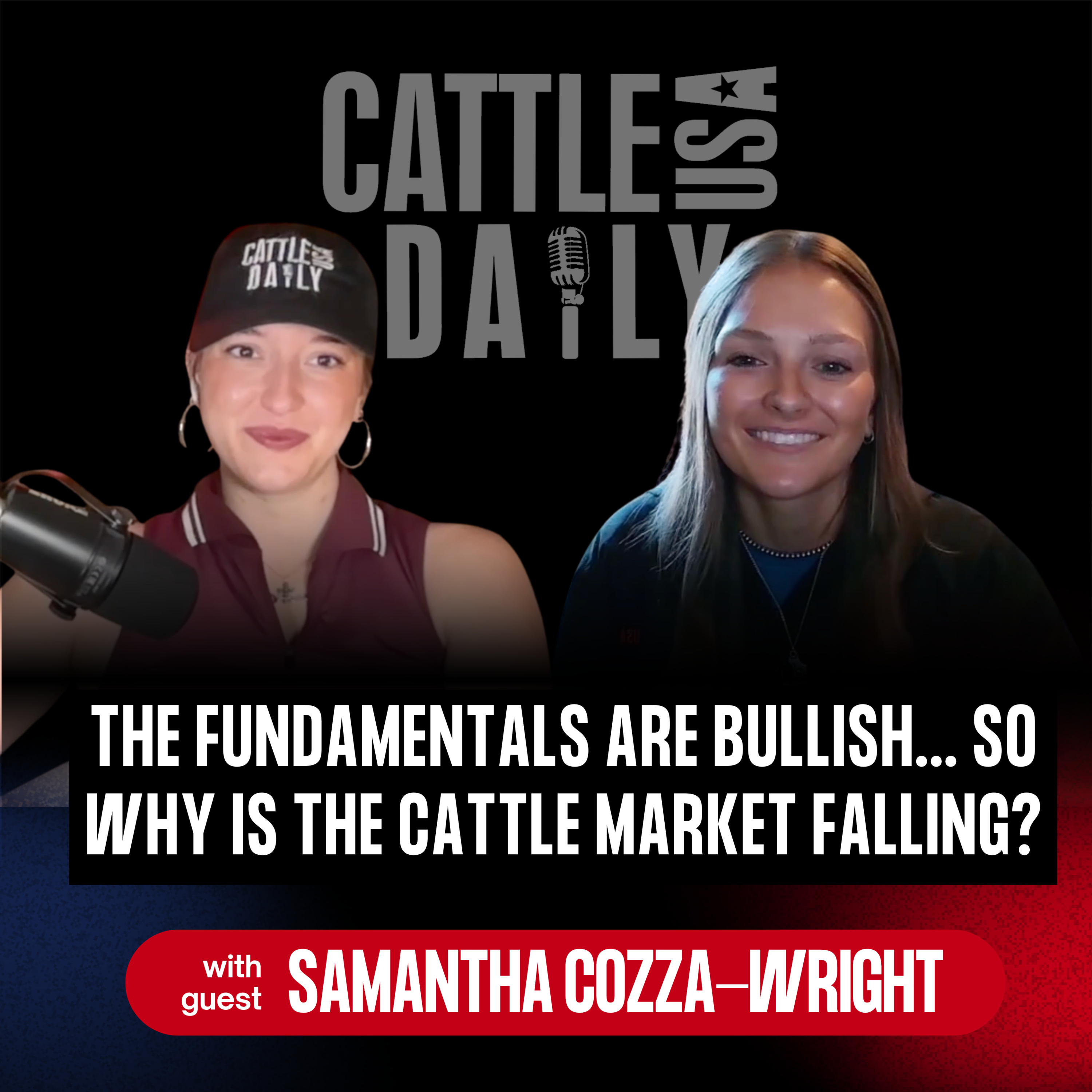342: The Fundamentals Are Bullish... So Why Is the Cattle Market Falling? with Samantha Cozza-Wright episode artwork