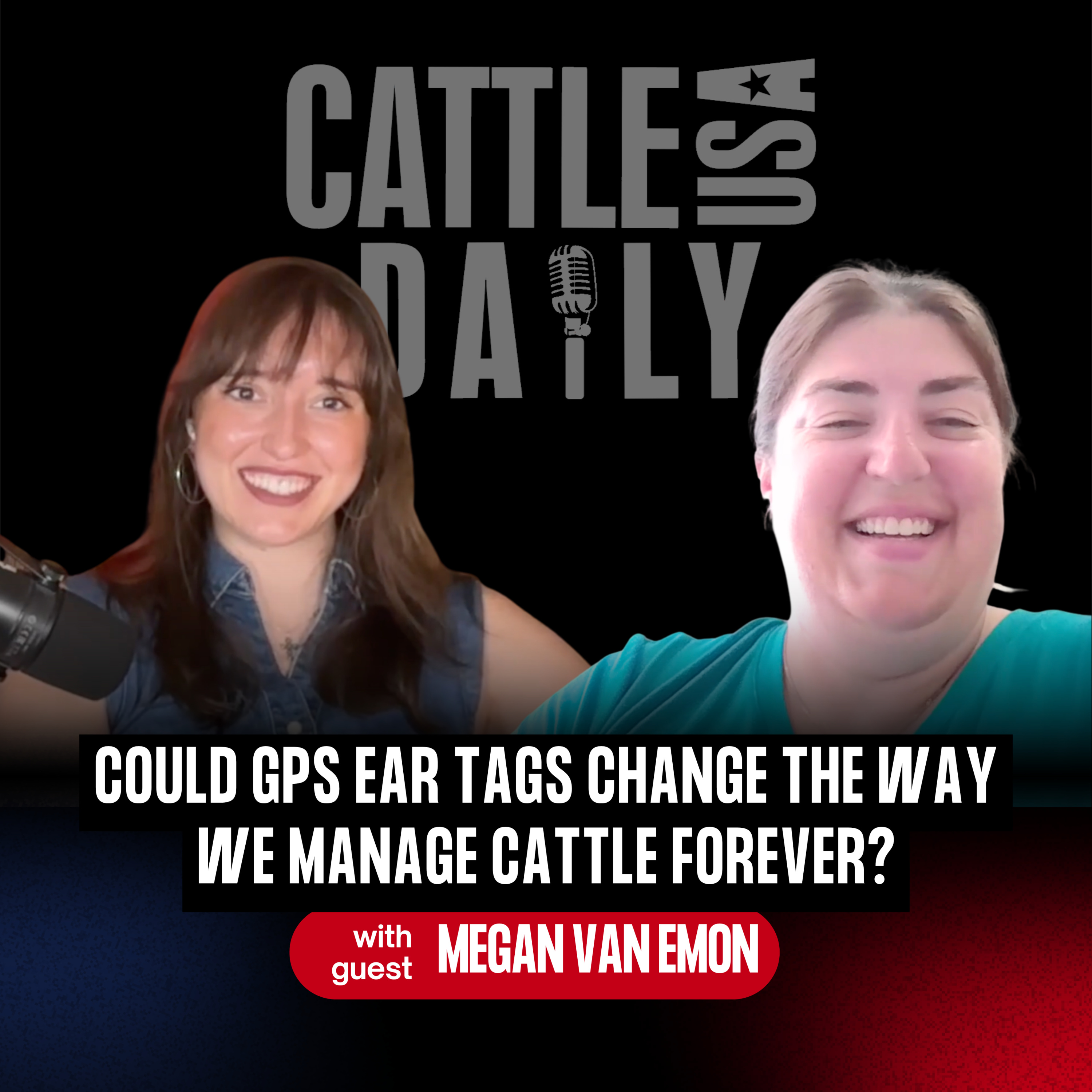 346: Could GPS Ear Tags Change the Way We Manage Cattle Forever? with Dr. Megan Van Emon episode artwork