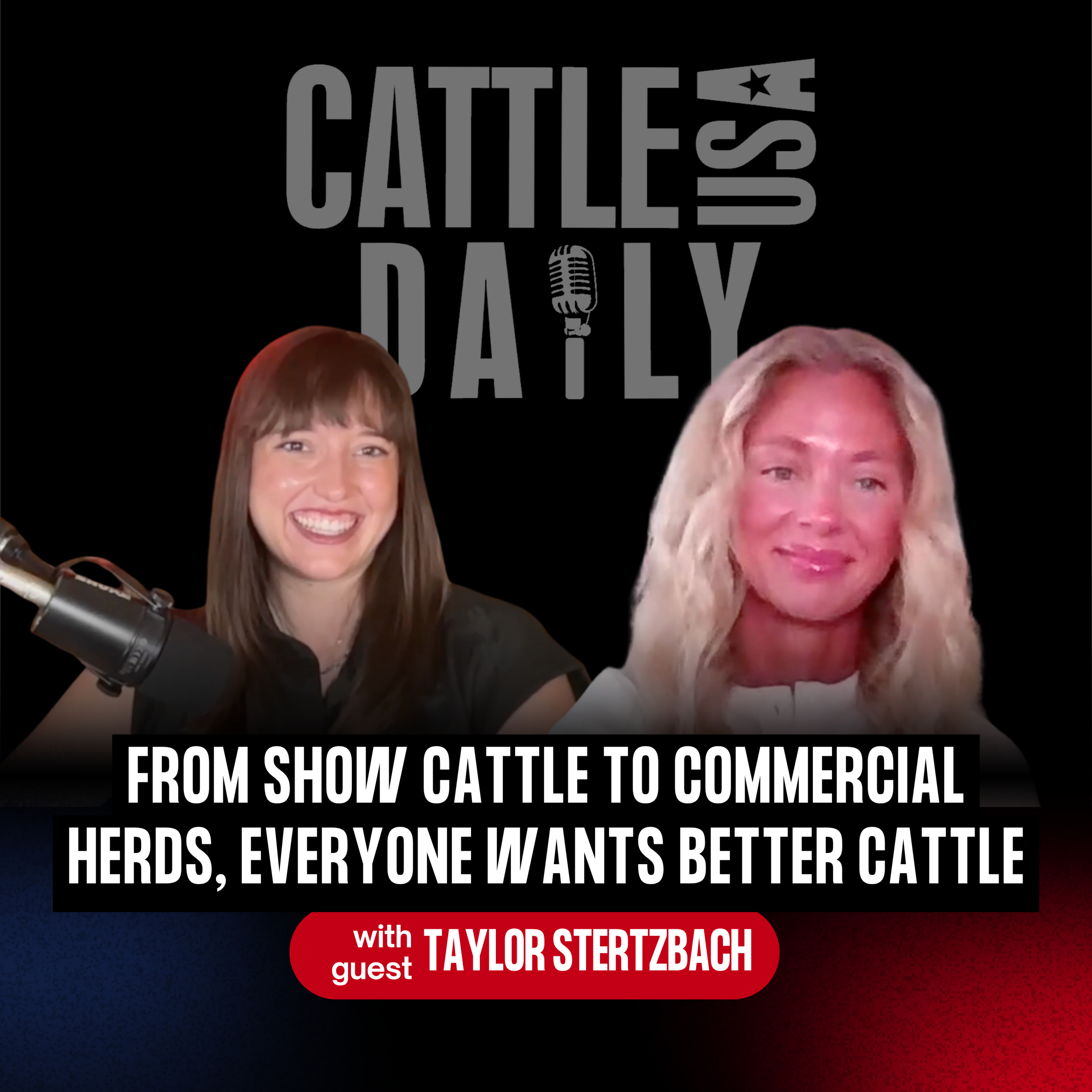 351: From Show Cattle to Commercial Herds, Everyone Wants Better Cattle with Taylor Sterzbach episode artwork