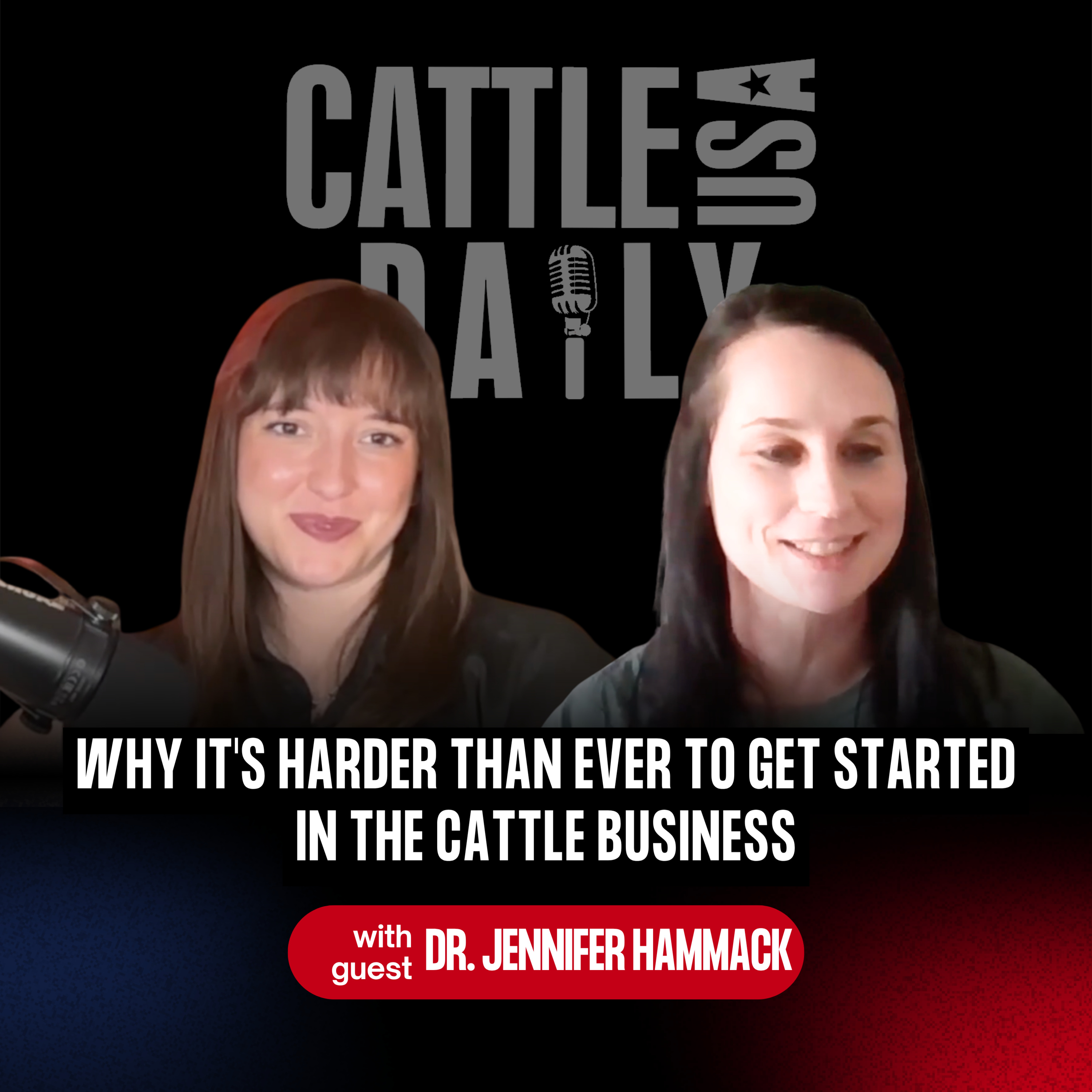 354: Why It's Harder Than Ever to Get Started in the Cattle Business with Dr. Jennifer Hammack episode artwork
