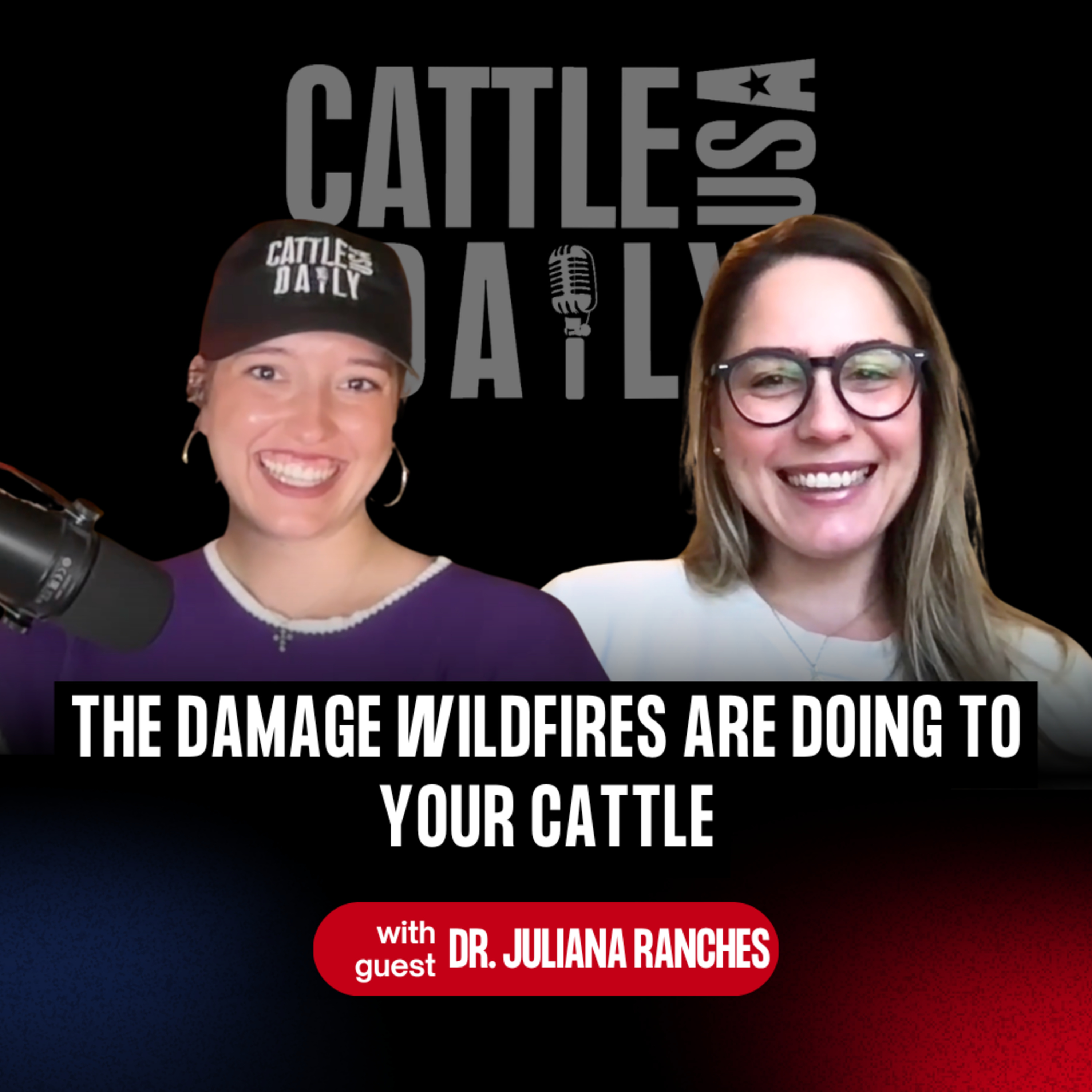 369: The Damage Wildfires Are Doing to Your Cattle with Dr. Juliana Ranches episode artwork