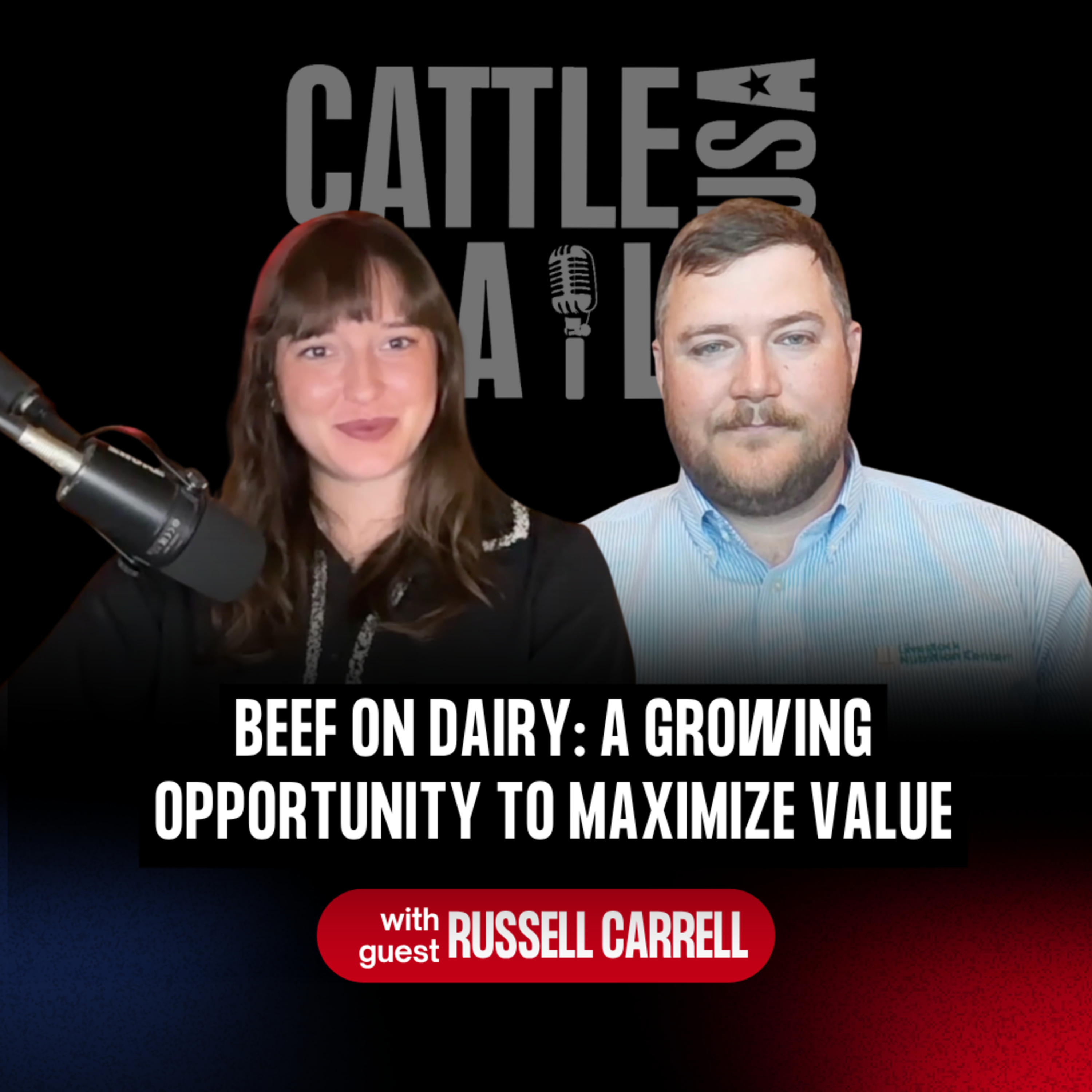 377: Beef on Dairy: A Growing Opportunity to Maximize Value with Russell Carrell episode artwork