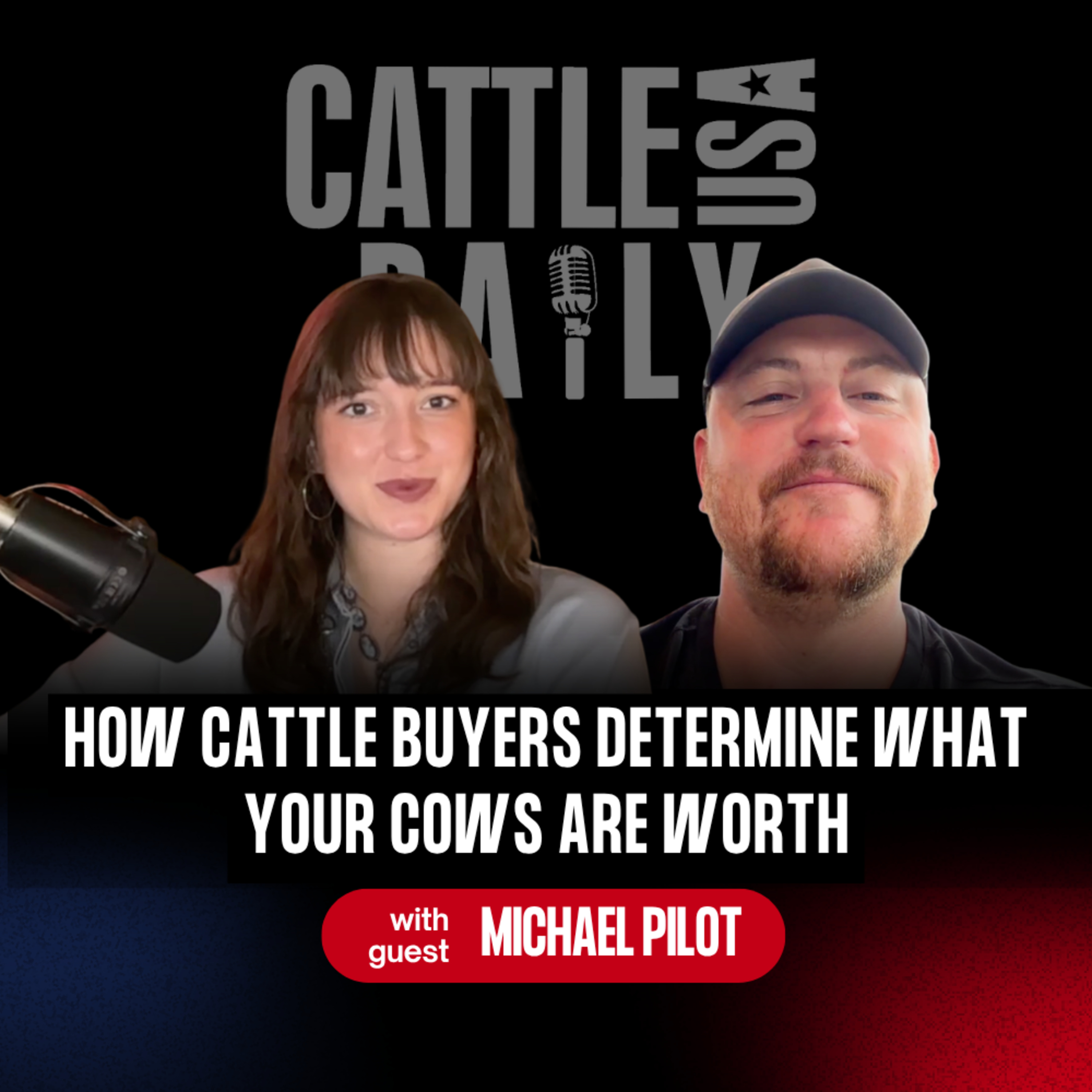 385: How Cattle Buyers Determine What Your Cows Are Worth with Michael Pilot episode artwork