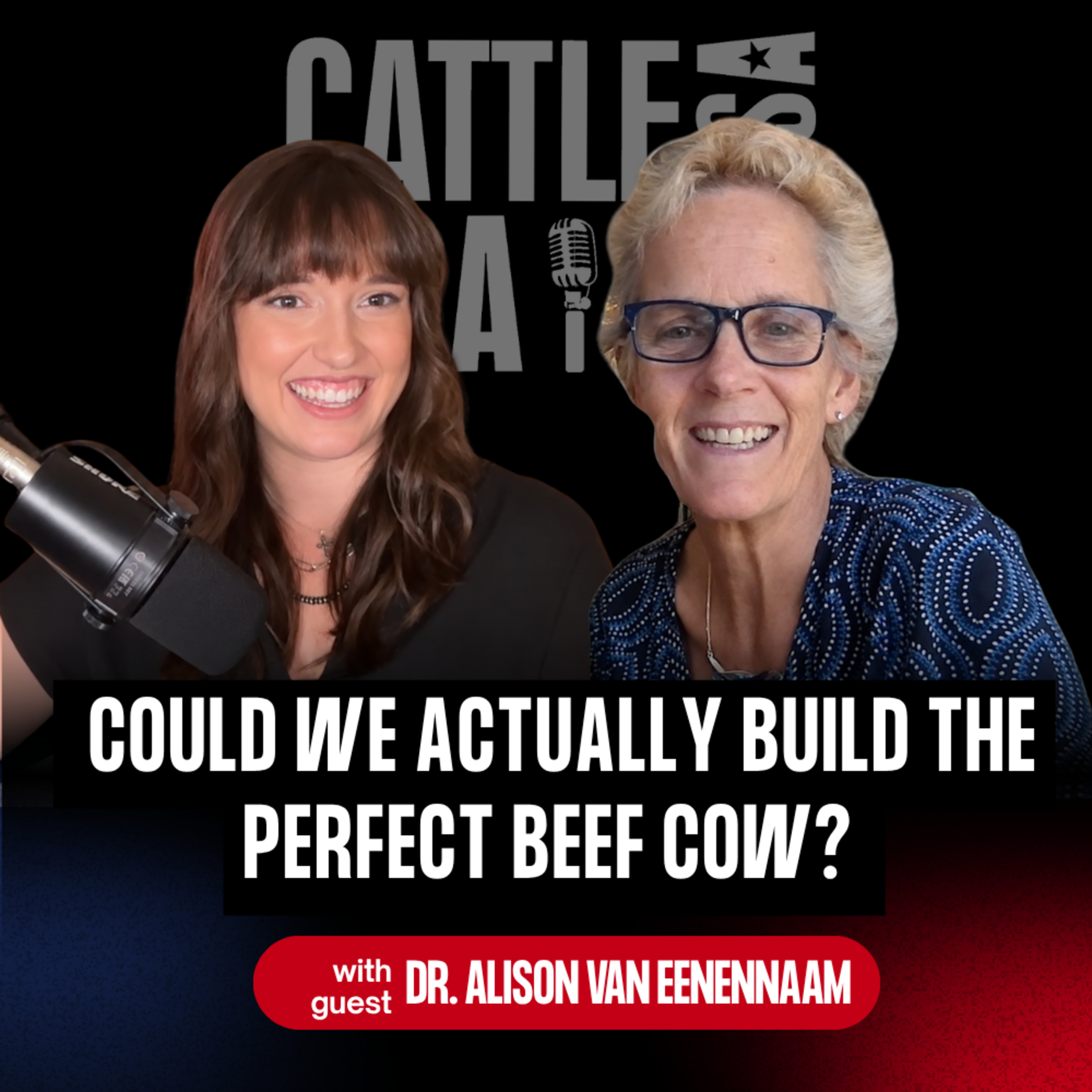 429: Could We Actually Build the Perfect Beef Cow? with Dr. Alison Van Eenennaam