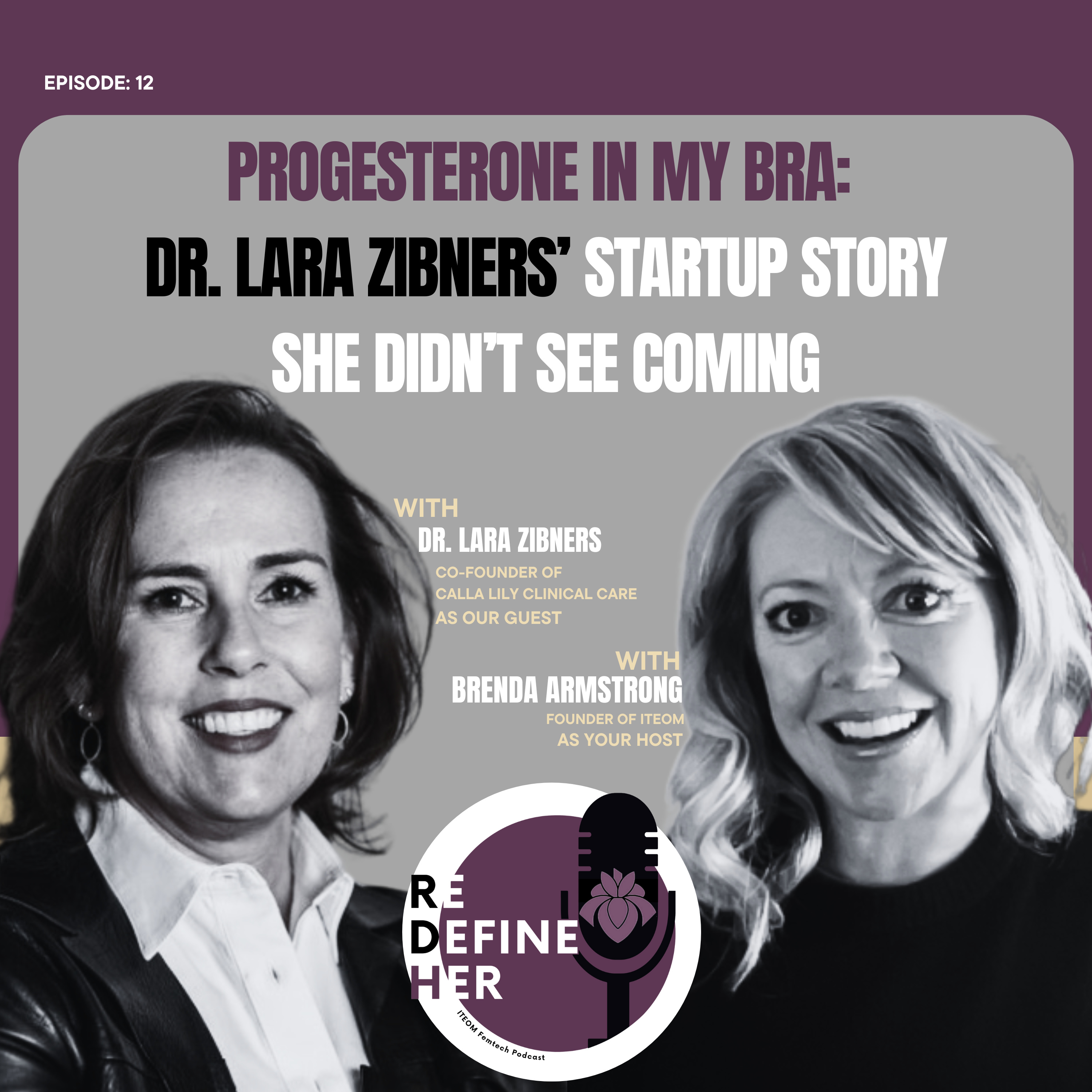 S1E12: Progesterone in My Bra: The Startup Story You Didn’t See Coming. episode artwork